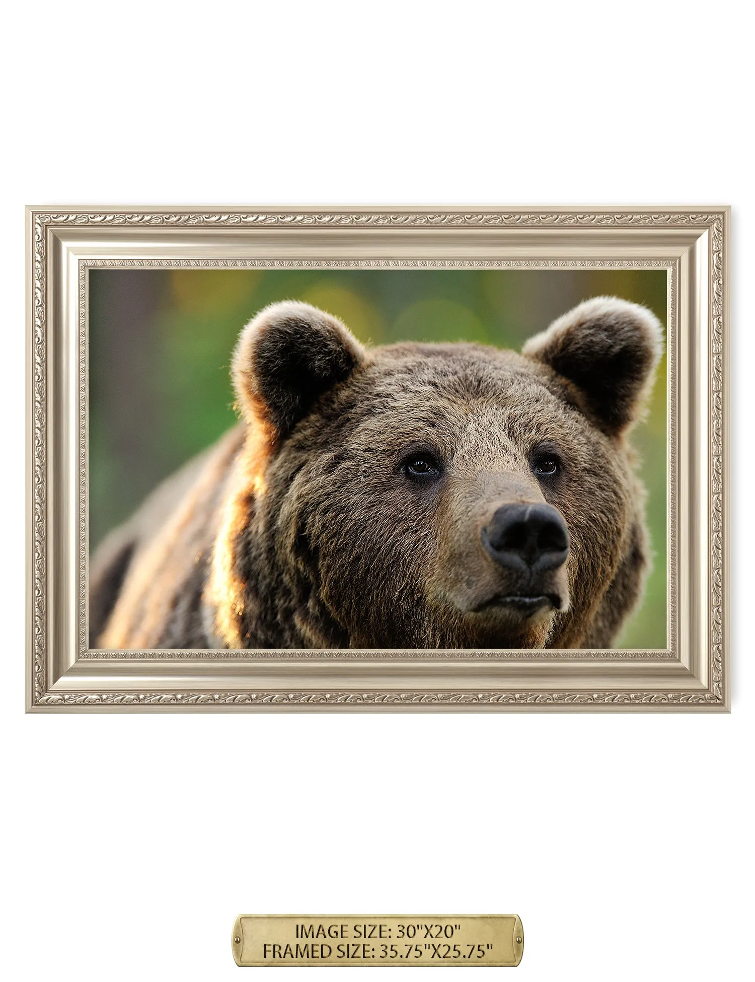 Bear on the Hunt.