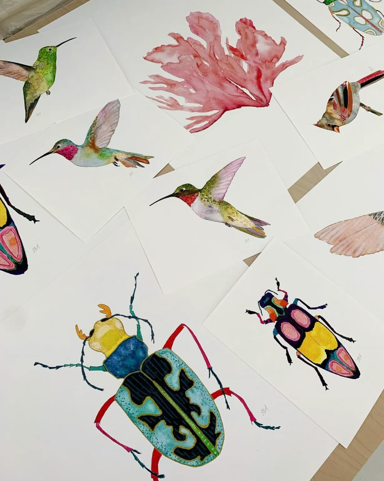 Beetle No. 10 ~ Art Print