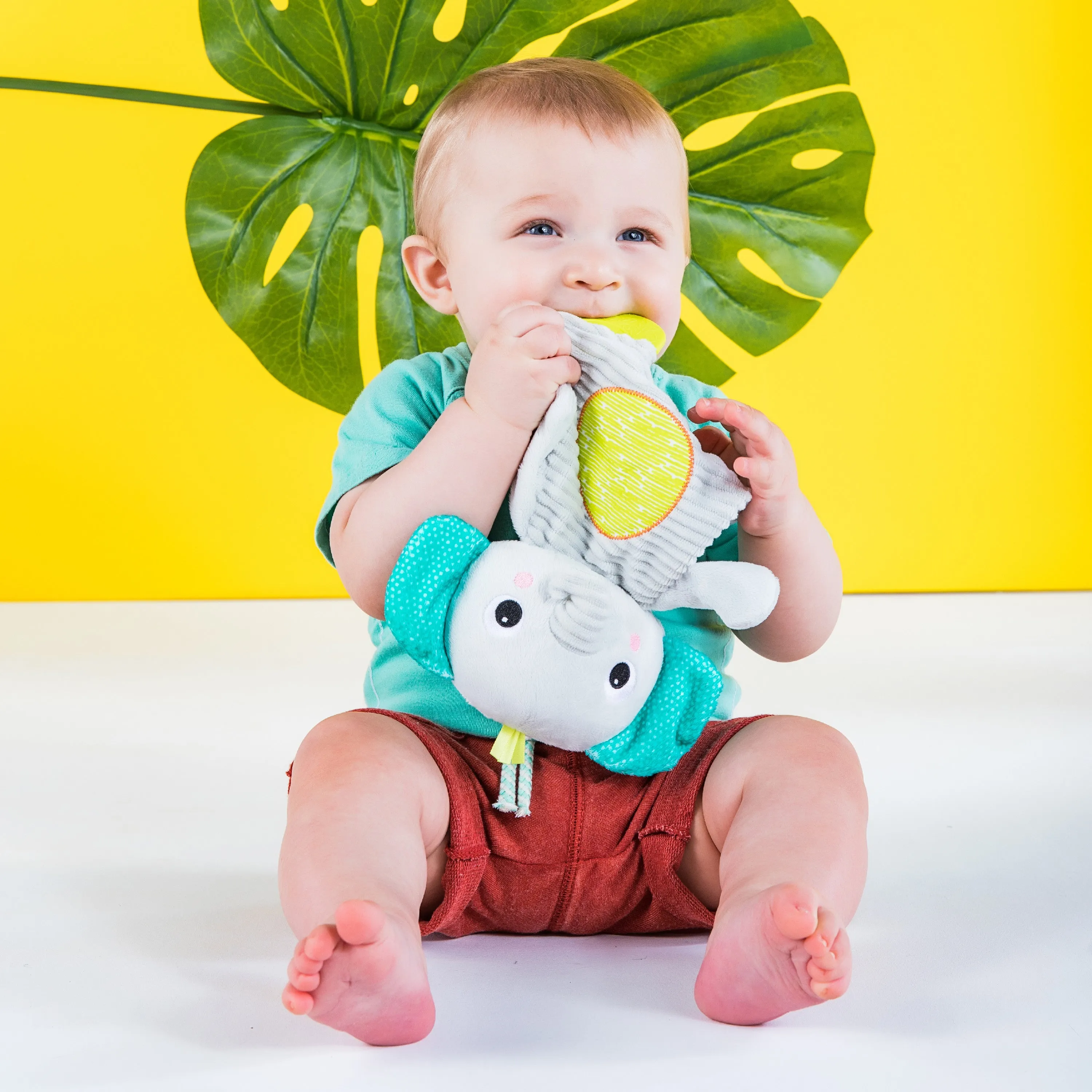 Bright Starts Snuggle & Teethe Plush Teether, Elephant