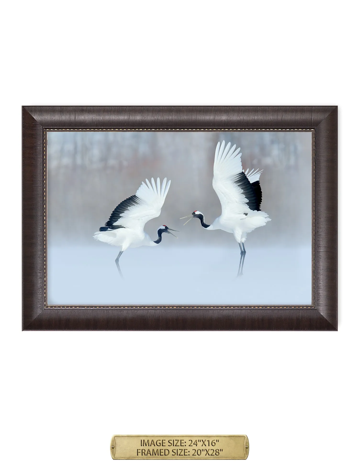 Crane Dance Wild Animal Wall Art.