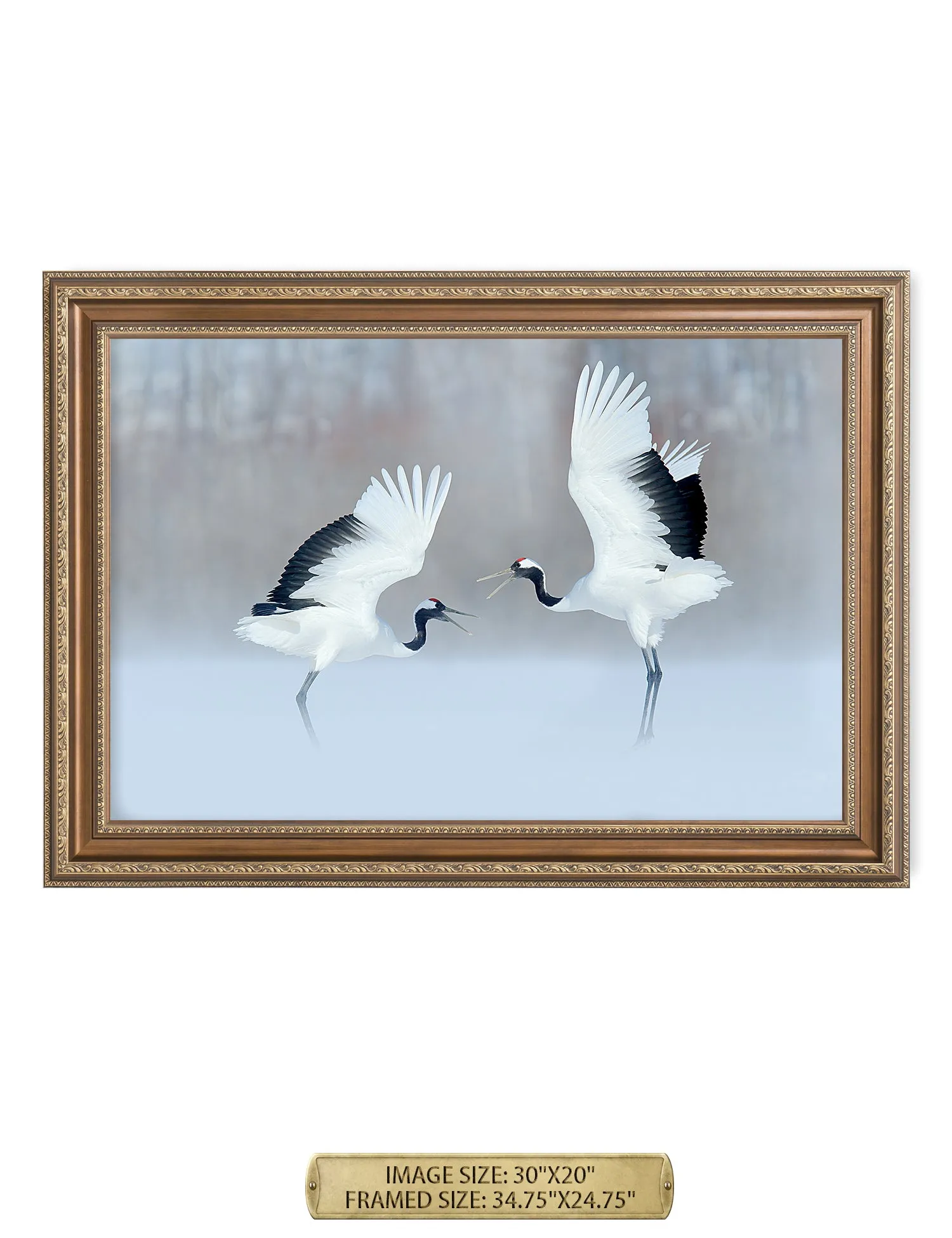 Crane Dance Wild Animal Wall Art.