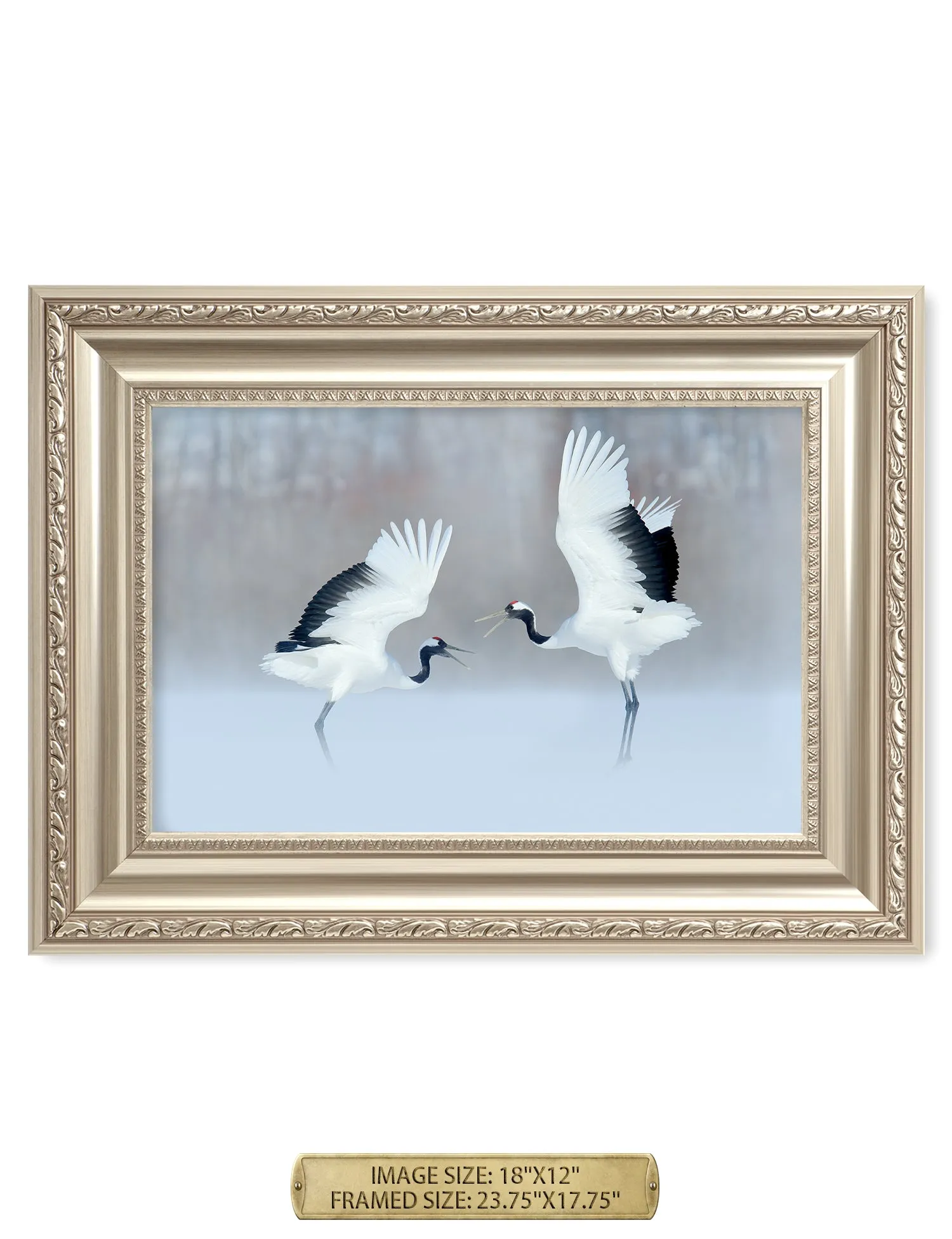 Crane Dance Wild Animal Wall Art.