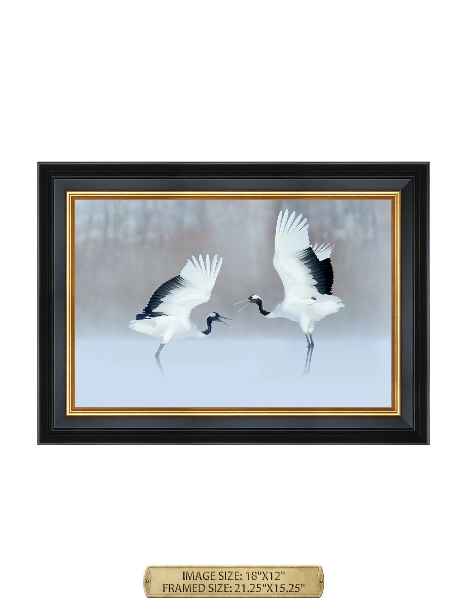Crane Dance Wild Animal Wall Art.