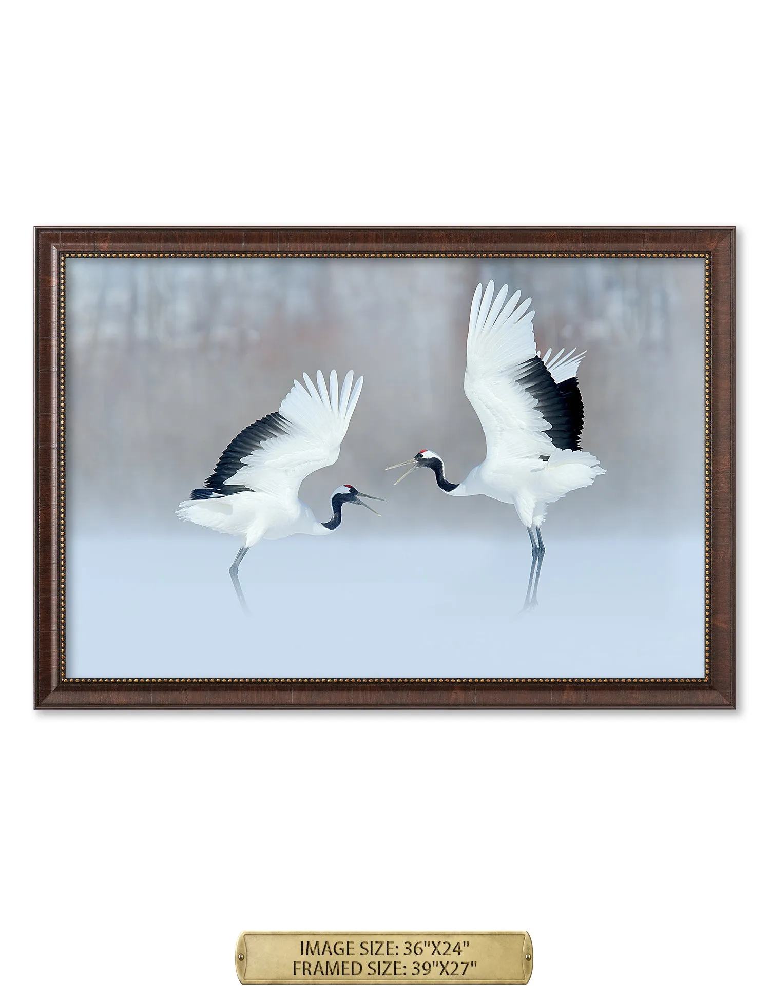 Crane Dance Wild Animal Wall Art.