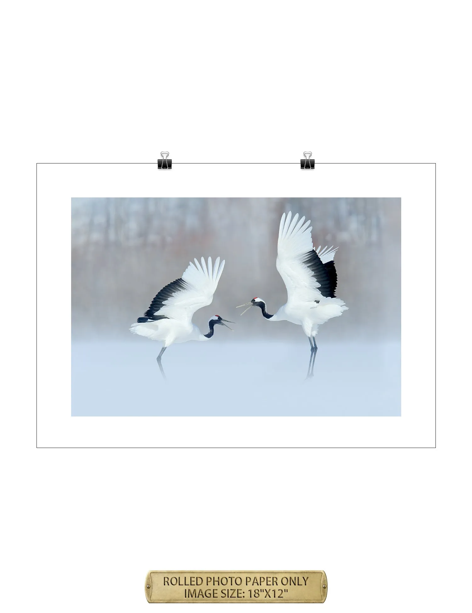 Crane Dance Wild Animal Wall Art.