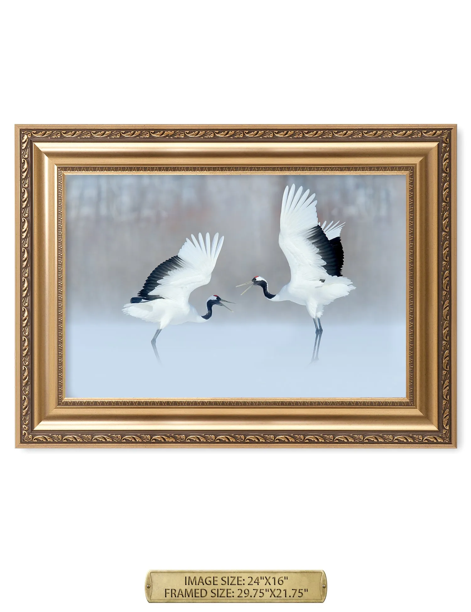 Crane Dance Wild Animal Wall Art.