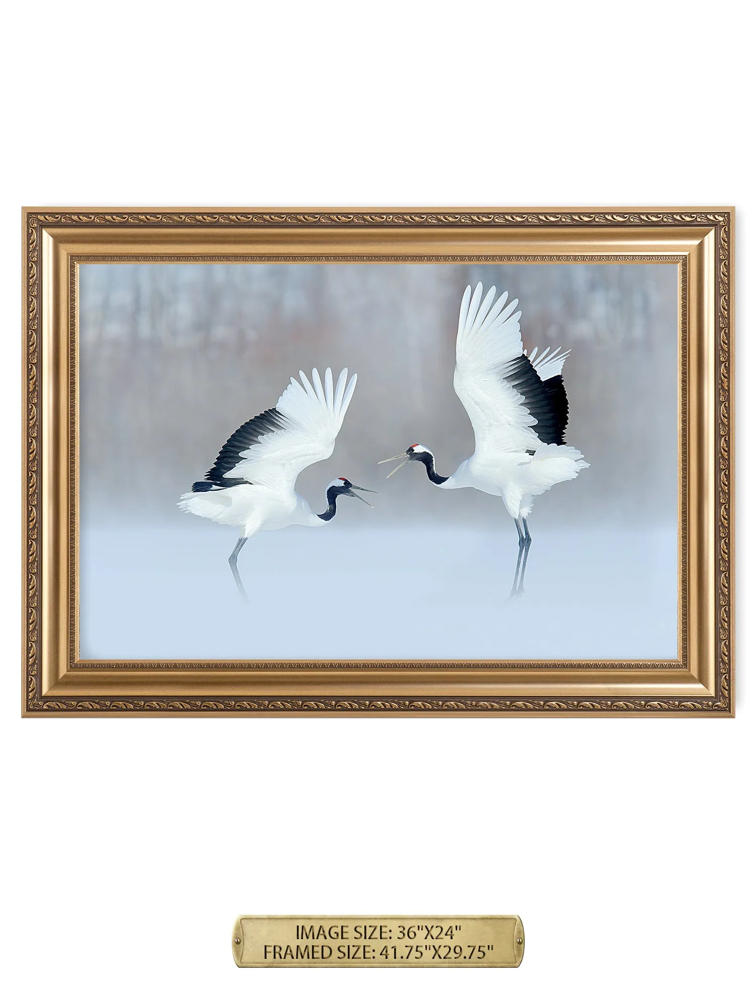 Crane Dance Wild Animal Wall Art.