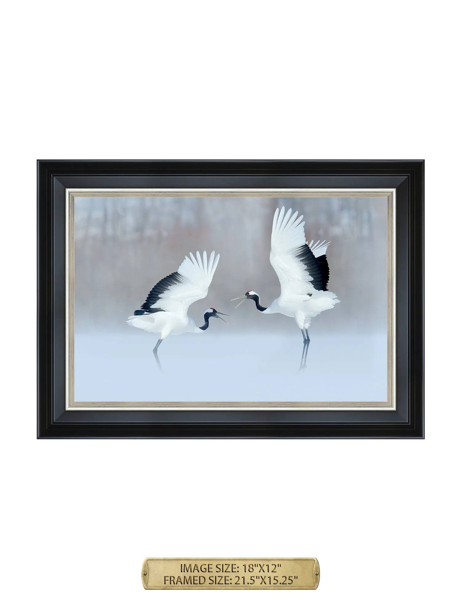Crane Dance Wild Animal Wall Art.