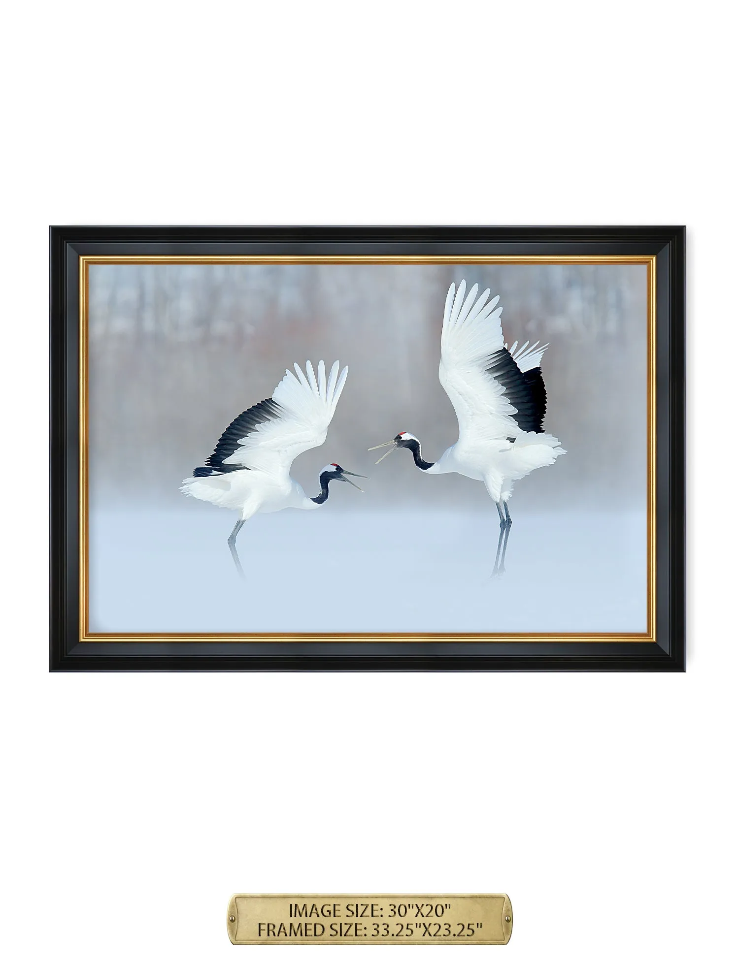 Crane Dance Wild Animal Wall Art.