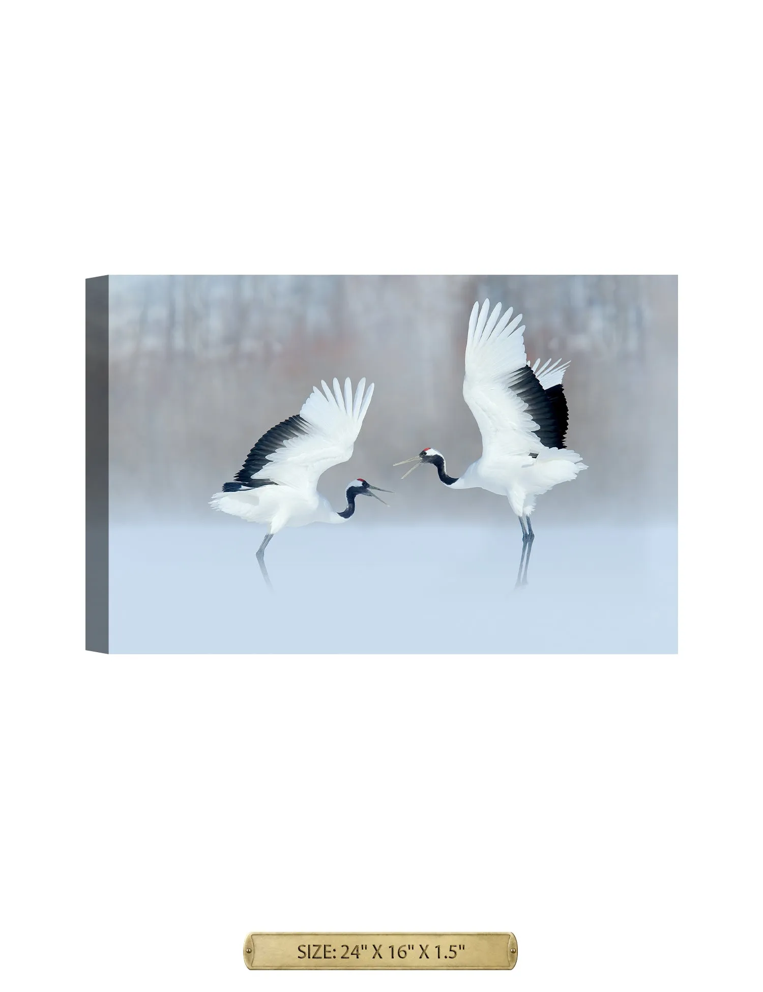 Crane Dance Wild Animal Wall Art.