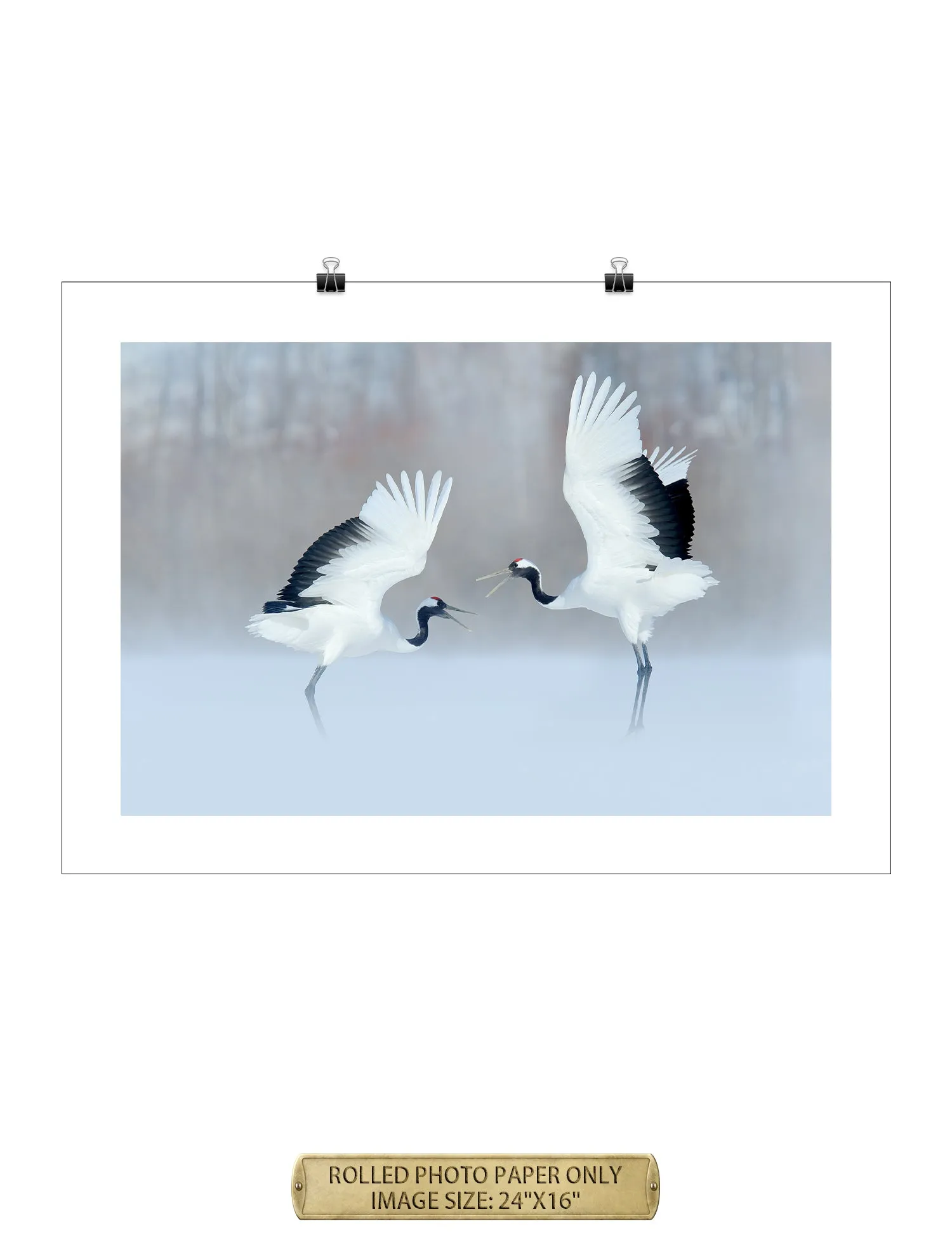 Crane Dance Wild Animal Wall Art.