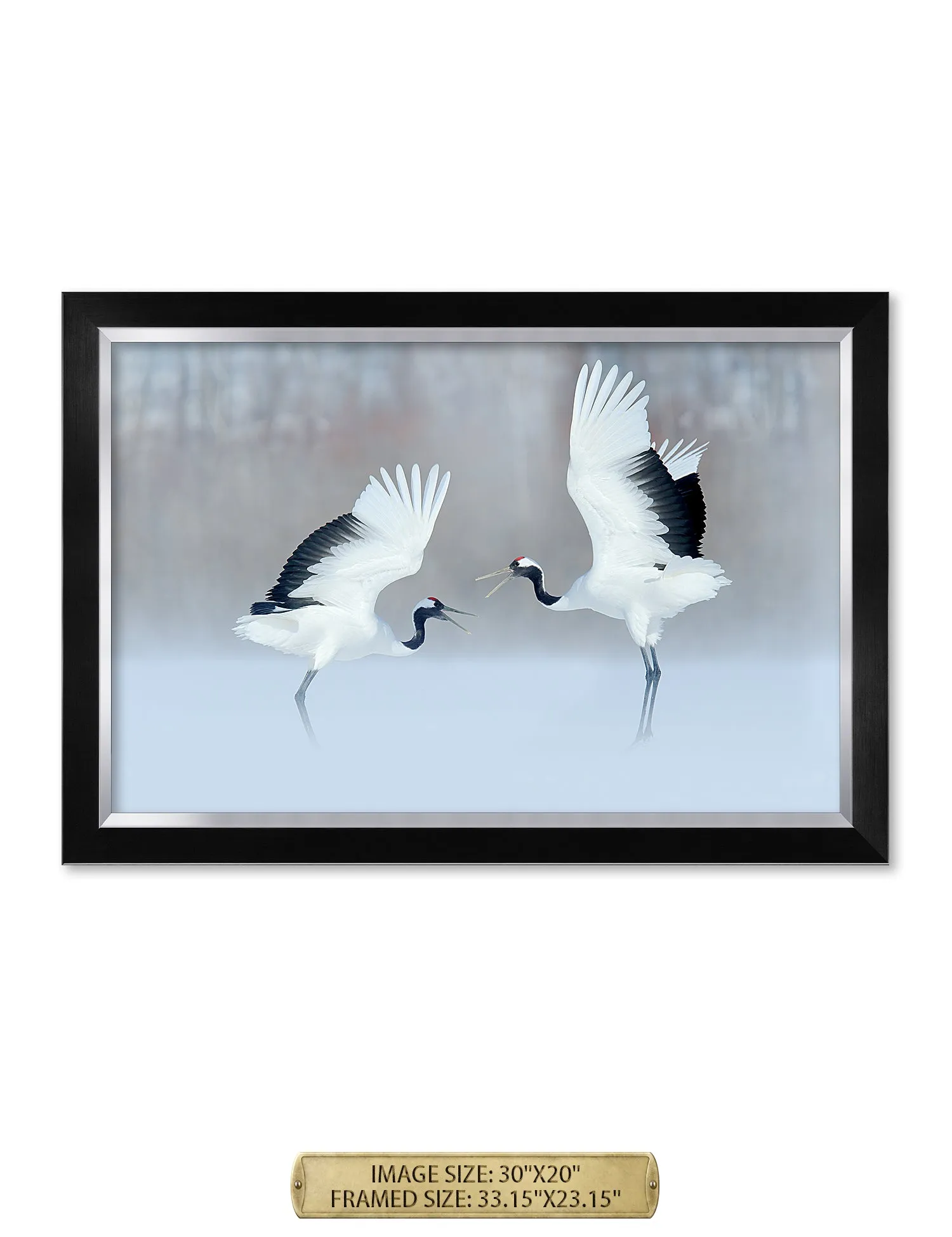 Crane Dance Wild Animal Wall Art.