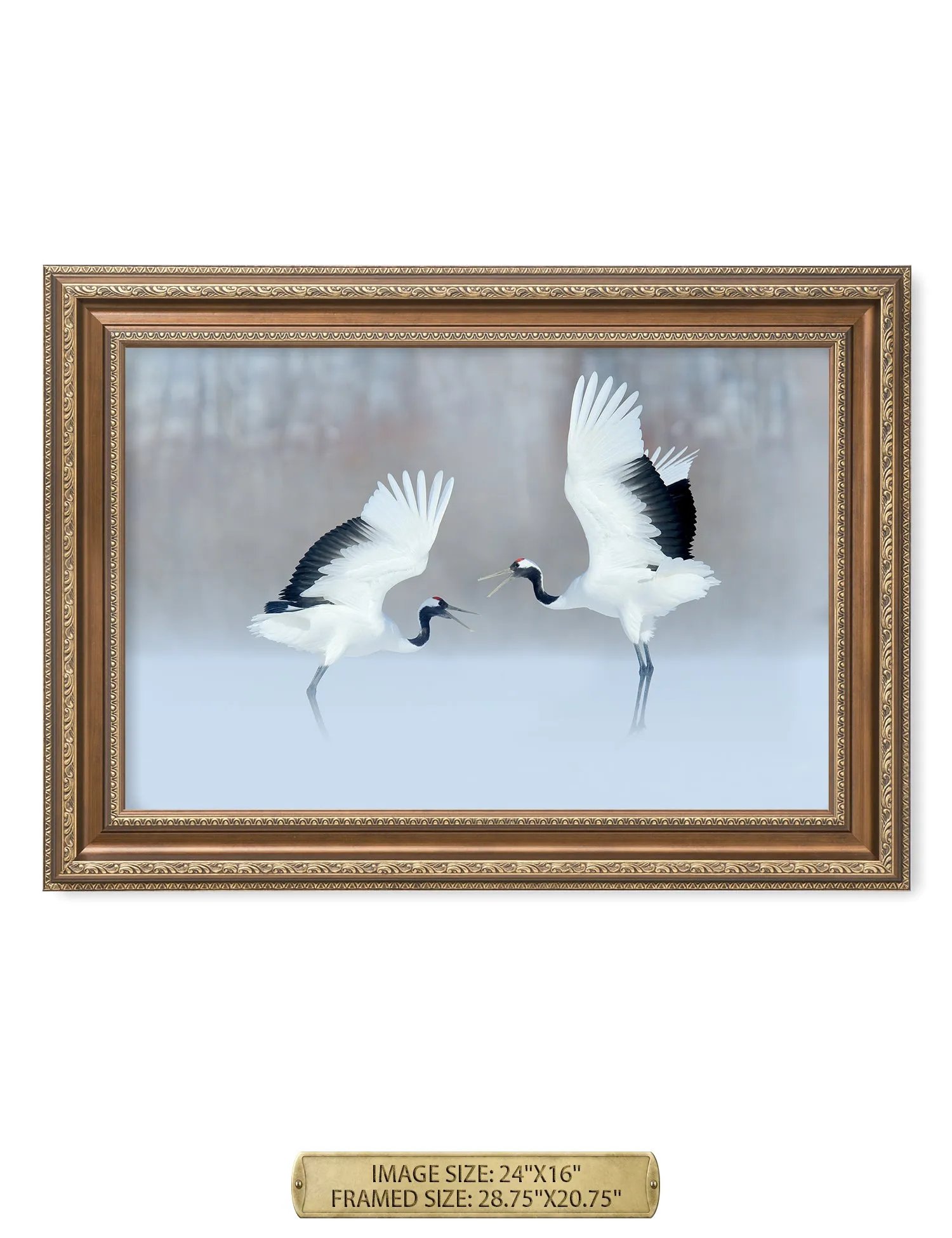 Crane Dance Wild Animal Wall Art.