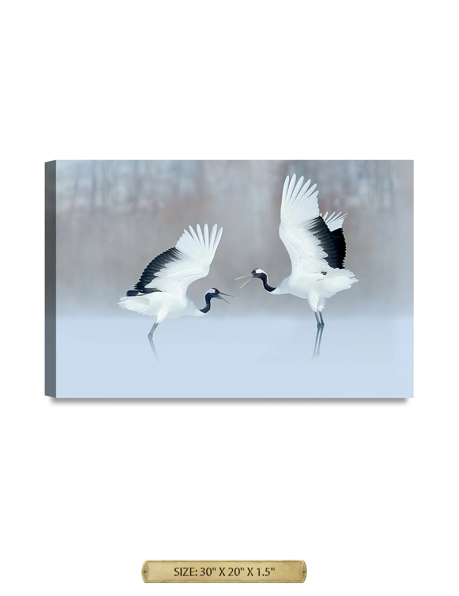 Crane Dance Wild Animal Wall Art.