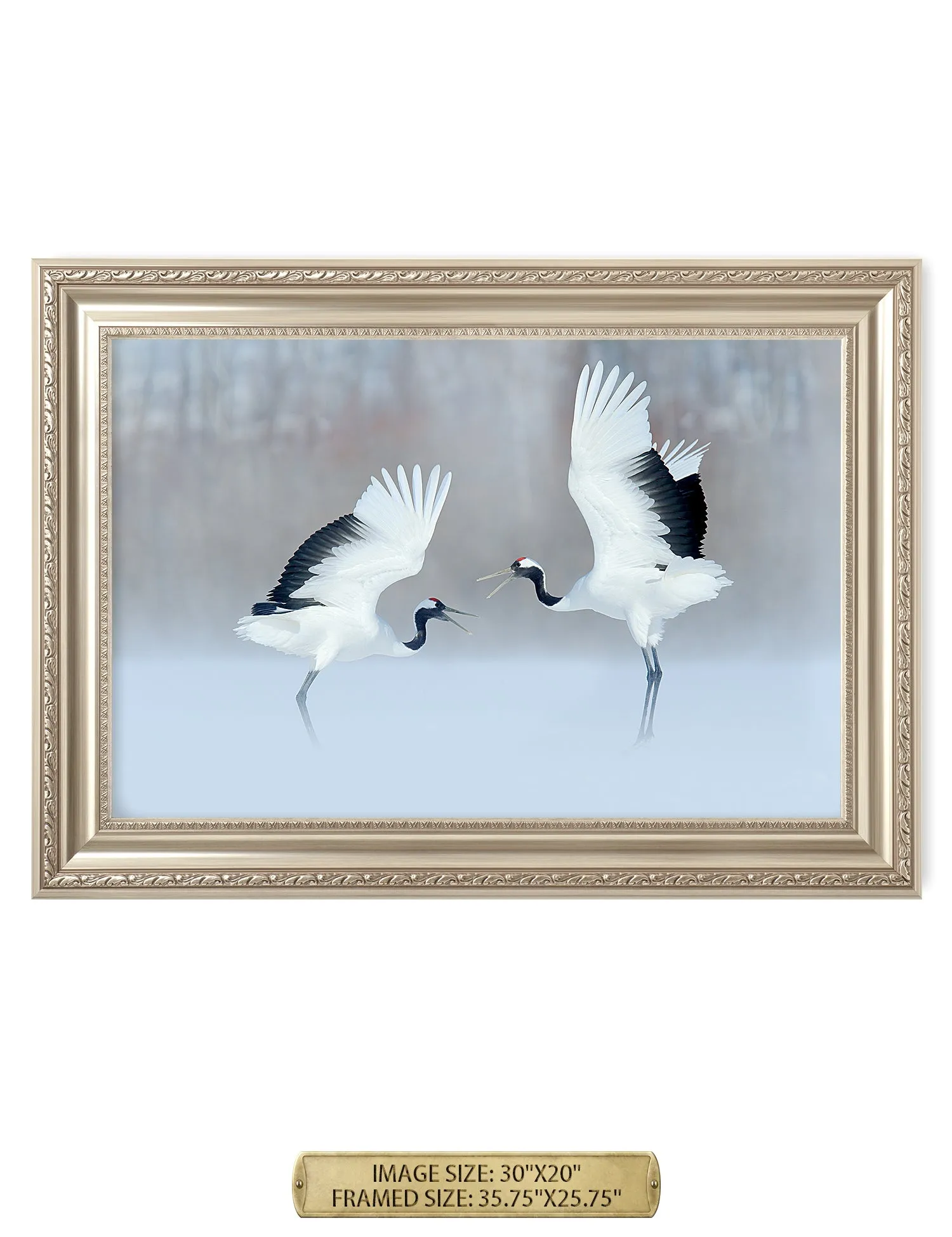 Crane Dance Wild Animal Wall Art.