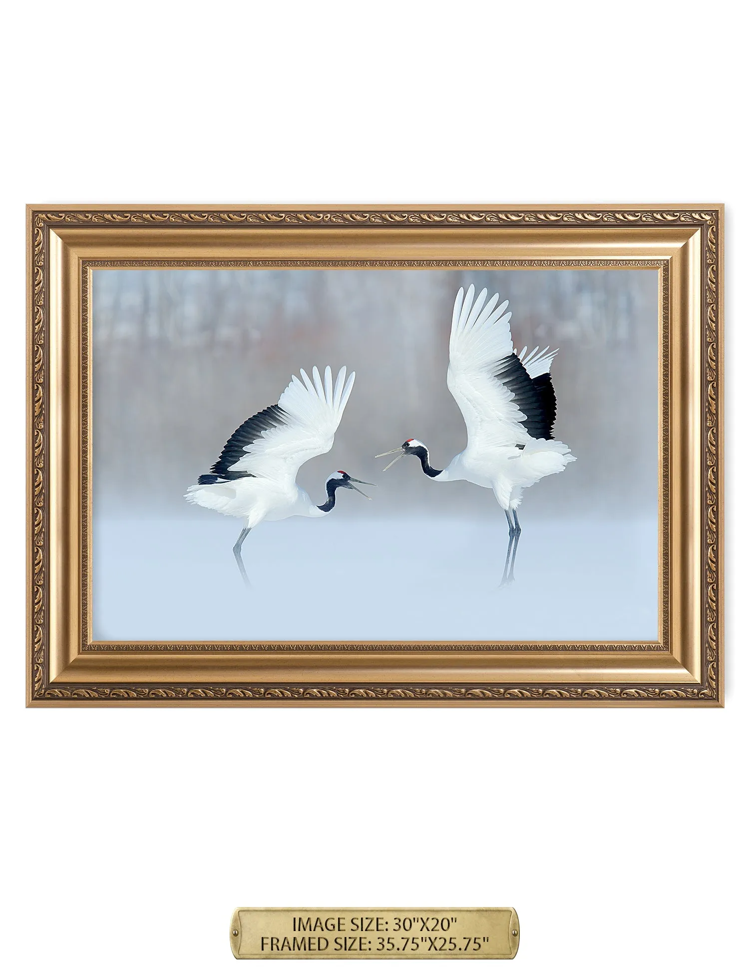 Crane Dance Wild Animal Wall Art.