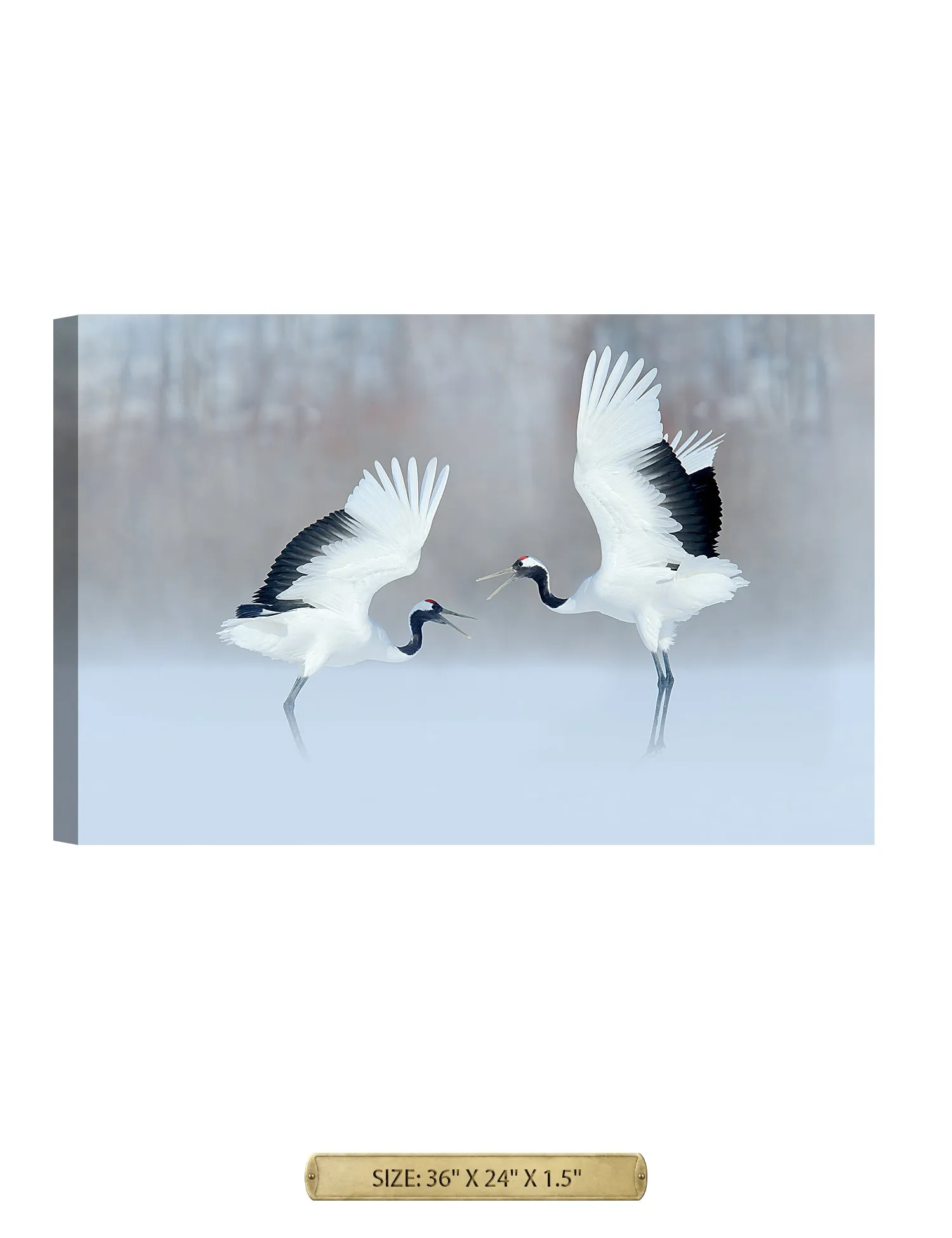 Crane Dance Wild Animal Wall Art.