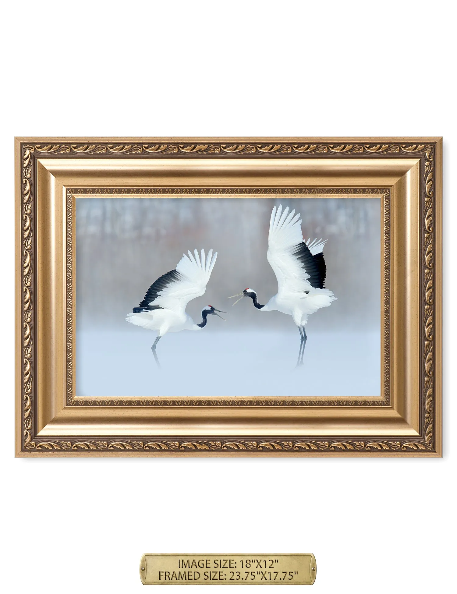 Crane Dance Wild Animal Wall Art.
