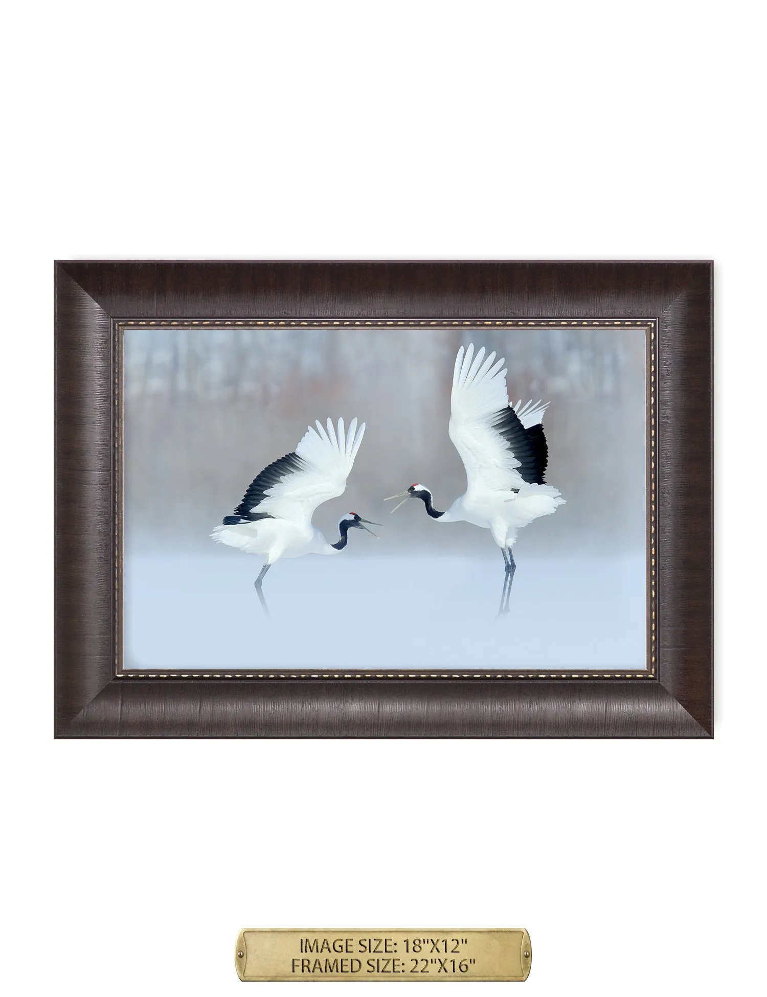 Crane Dance Wild Animal Wall Art.