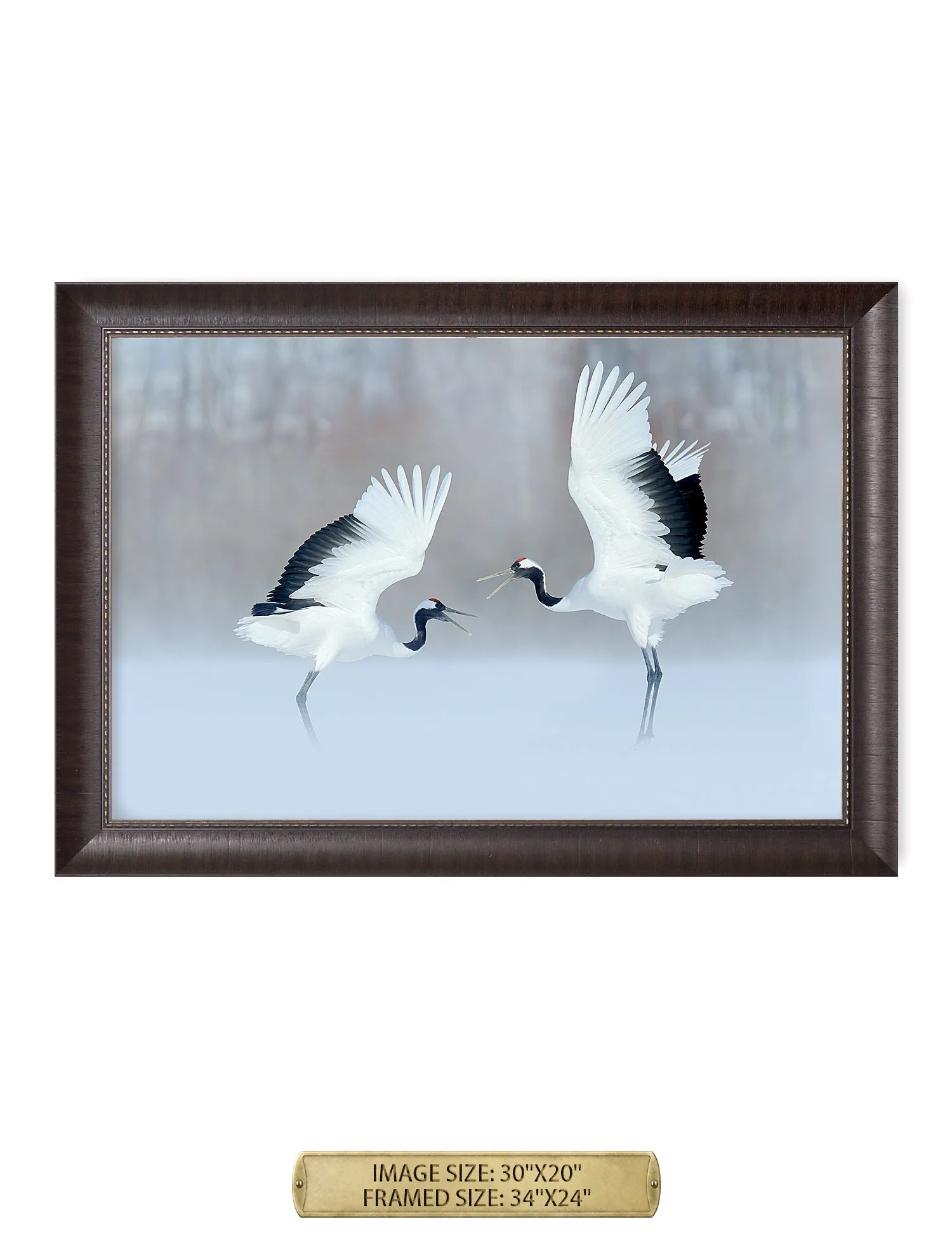 Crane Dance Wild Animal Wall Art.