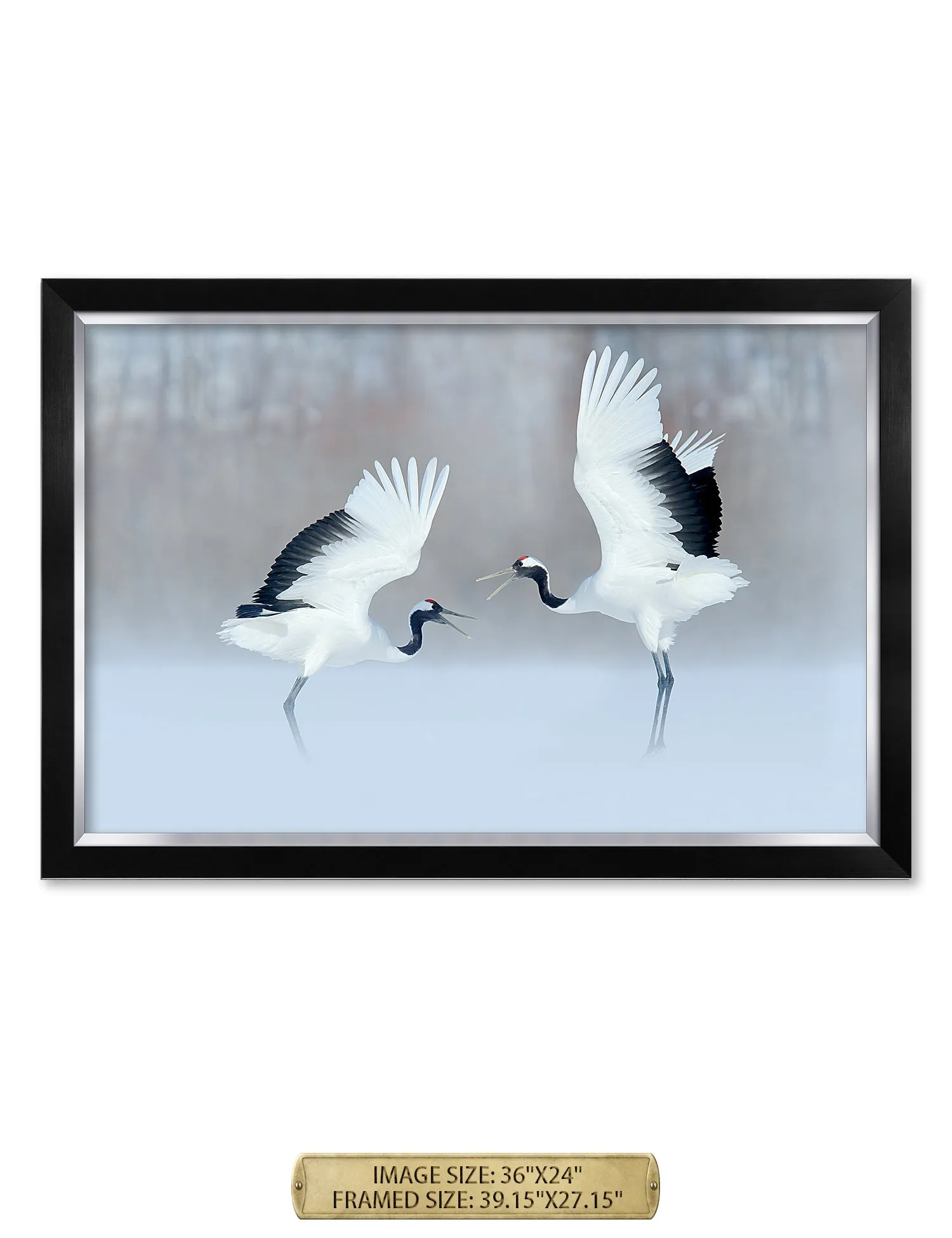 Crane Dance Wild Animal Wall Art.