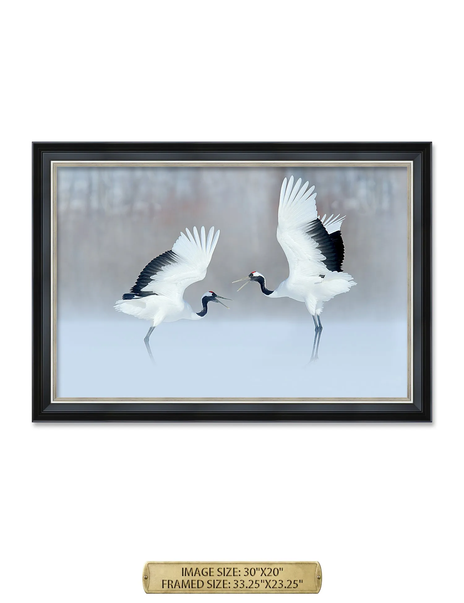 Crane Dance Wild Animal Wall Art.