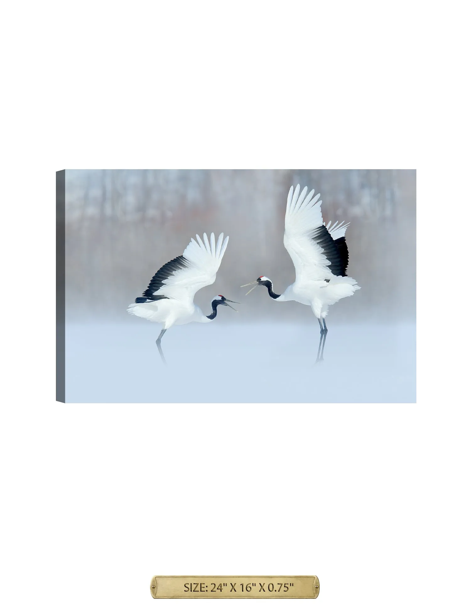 Crane Dance Wild Animal Wall Art.
