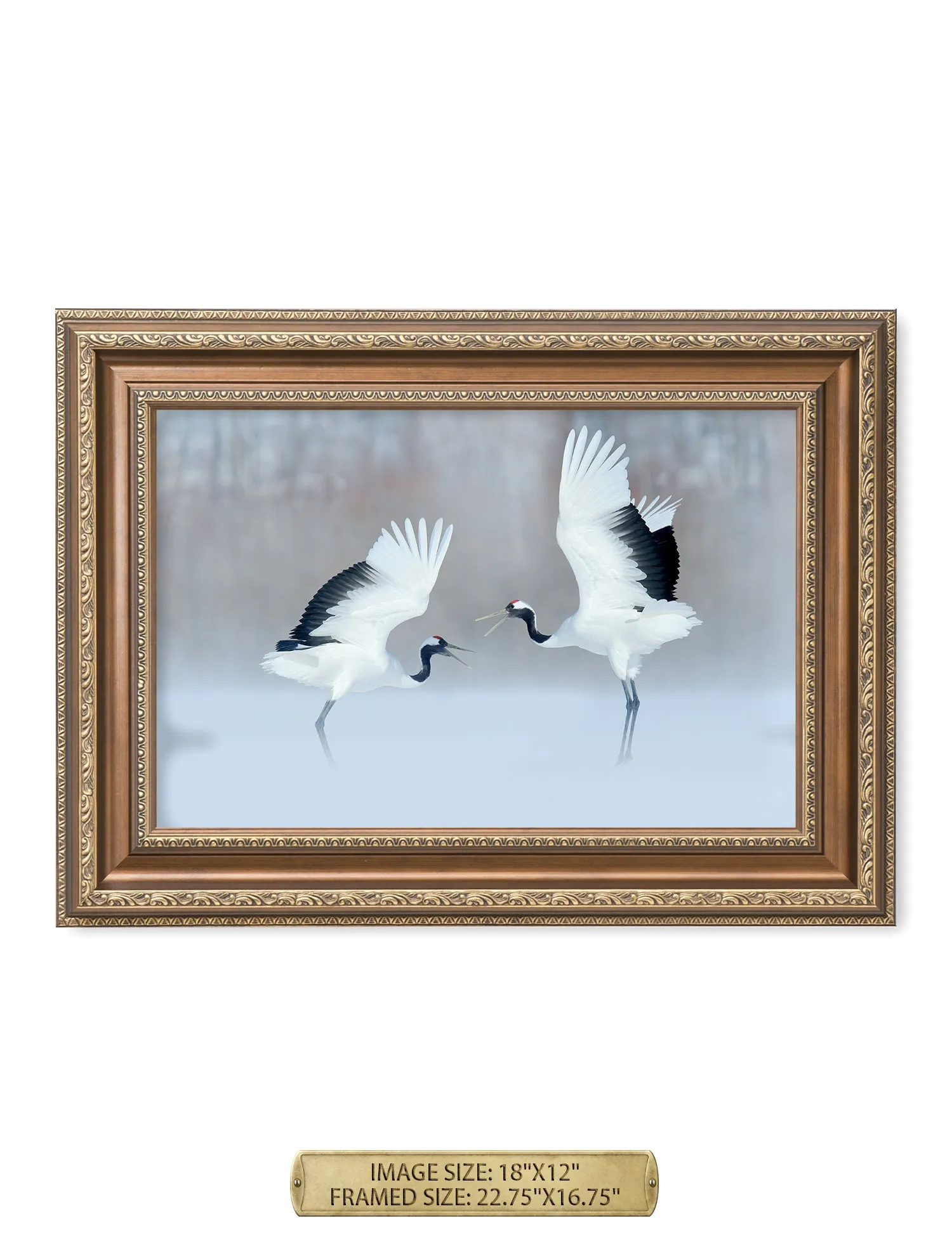 Crane Dance Wild Animal Wall Art.