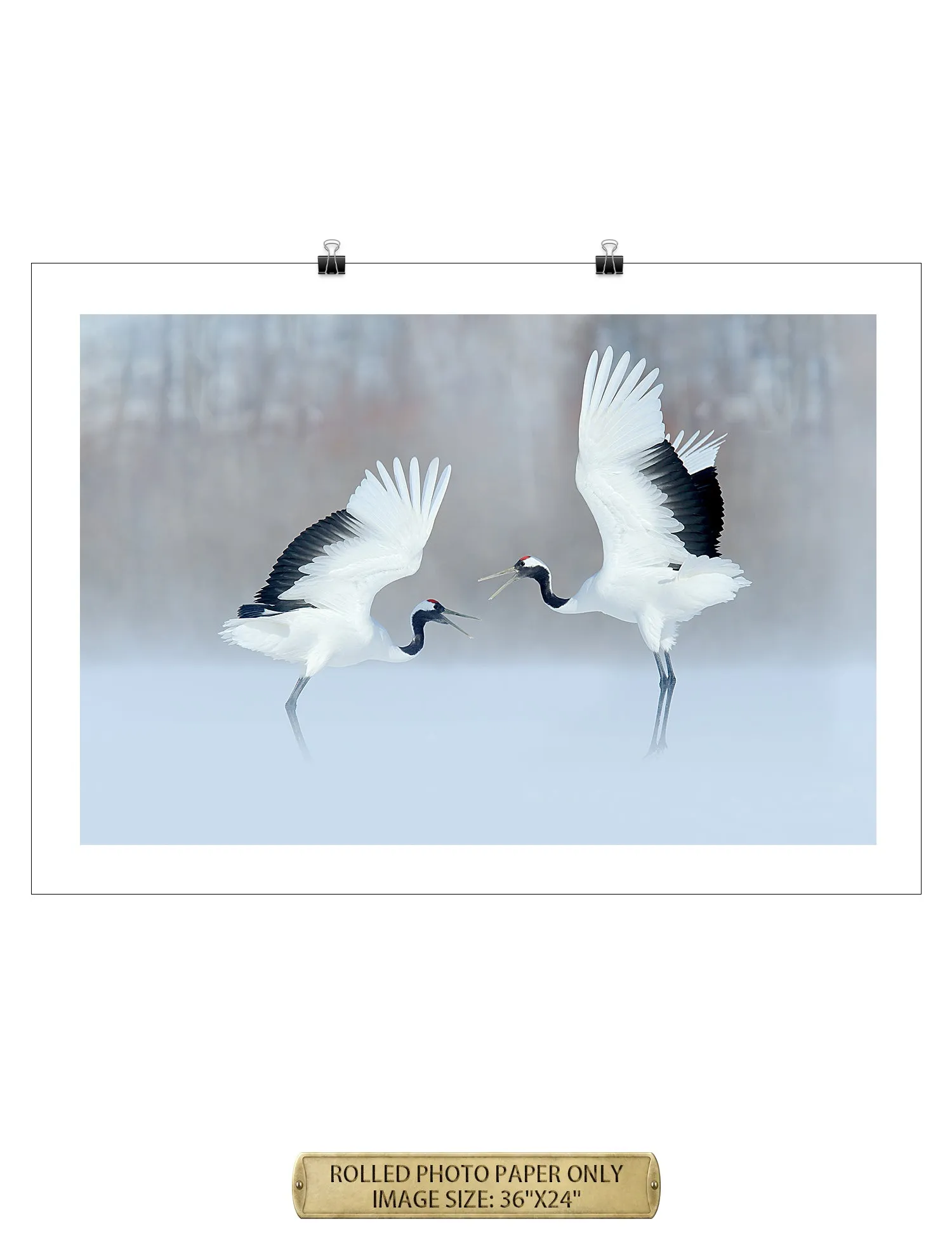 Crane Dance Wild Animal Wall Art.