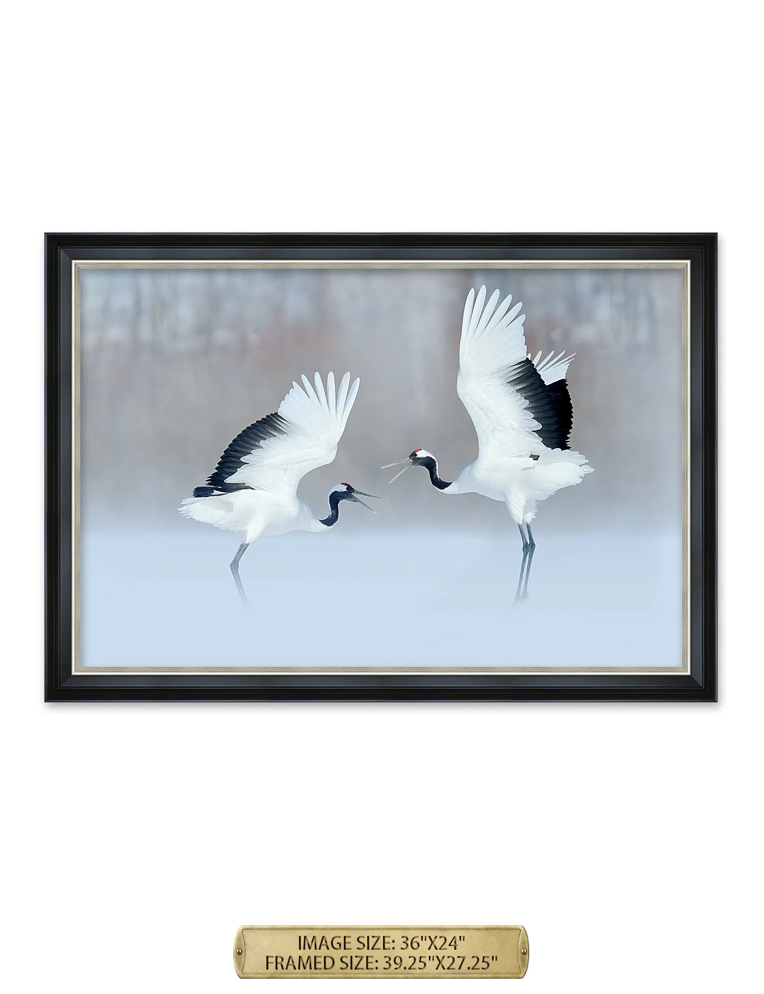 Crane Dance Wild Animal Wall Art.