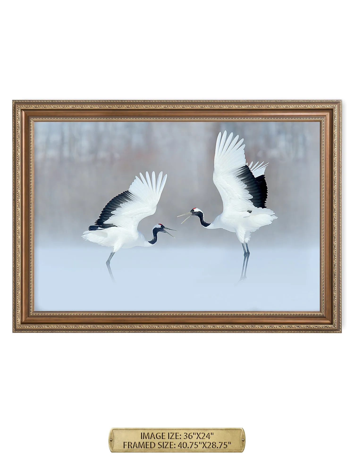 Crane Dance Wild Animal Wall Art.