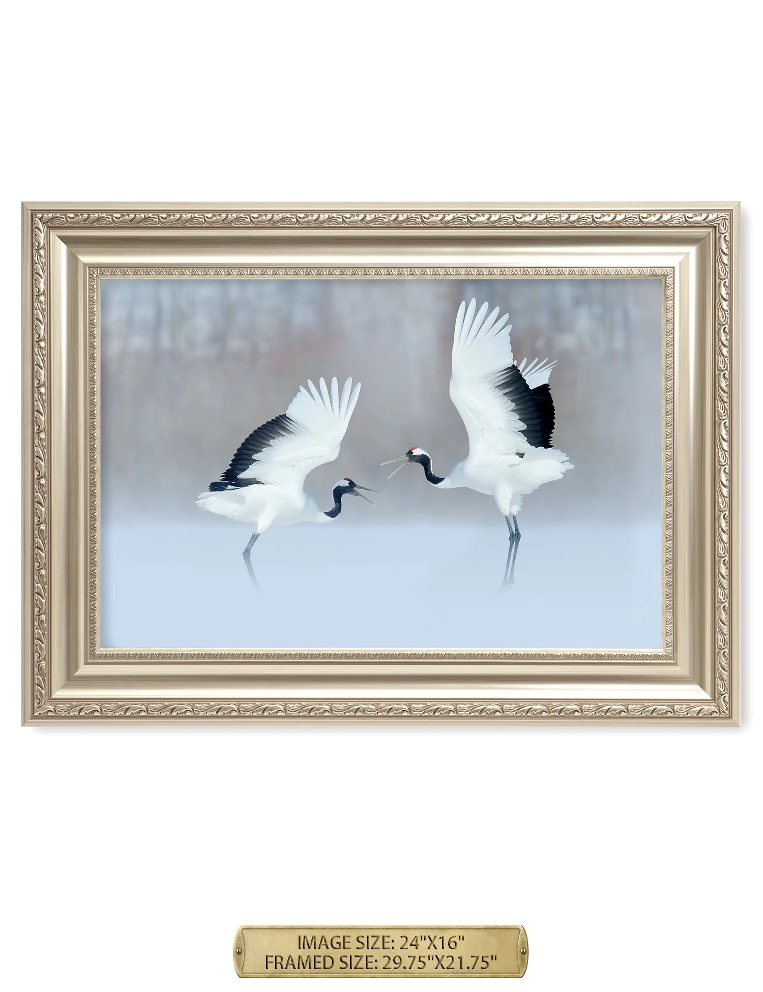 Crane Dance Wild Animal Wall Art.