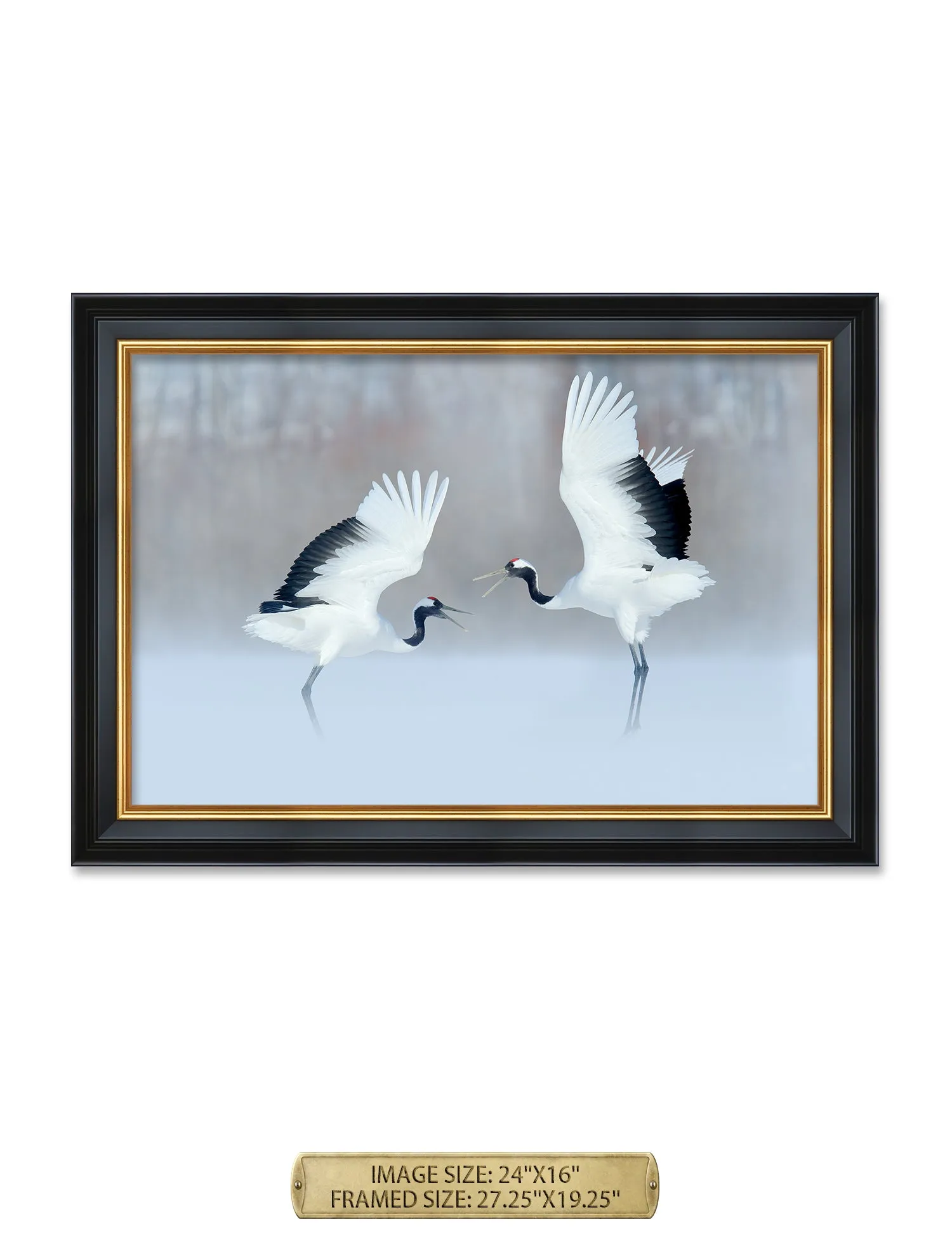 Crane Dance Wild Animal Wall Art.