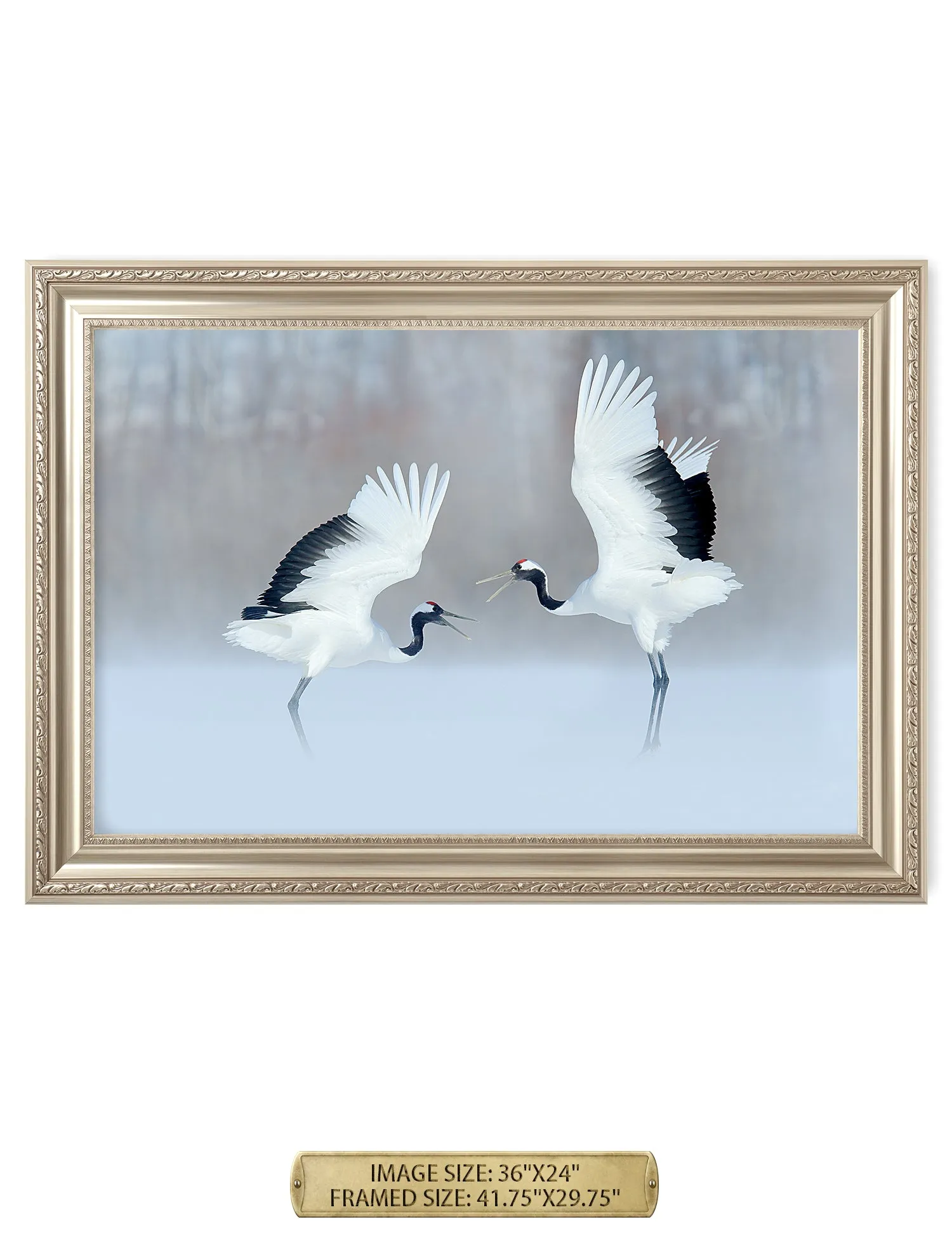 Crane Dance Wild Animal Wall Art.