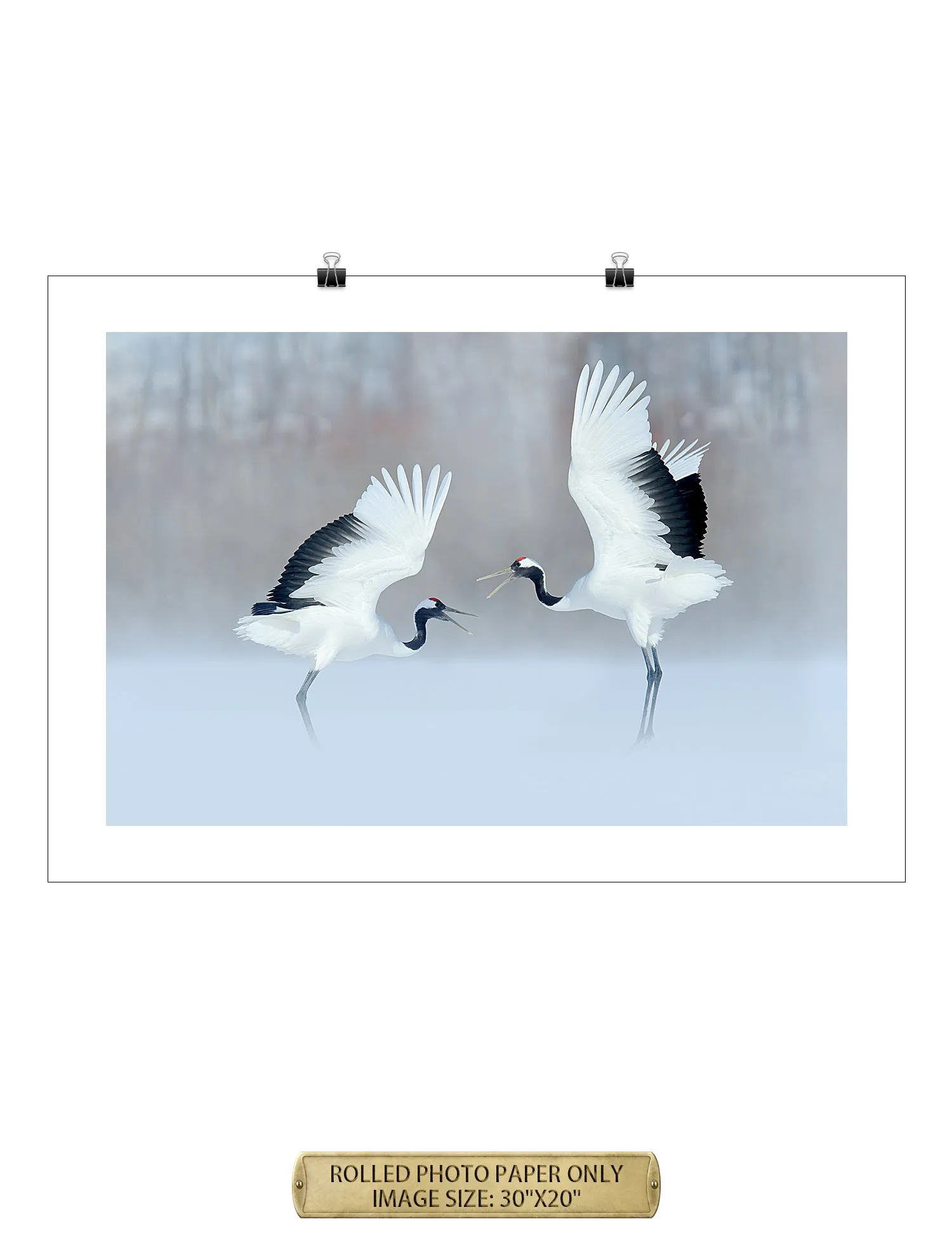 Crane Dance Wild Animal Wall Art.