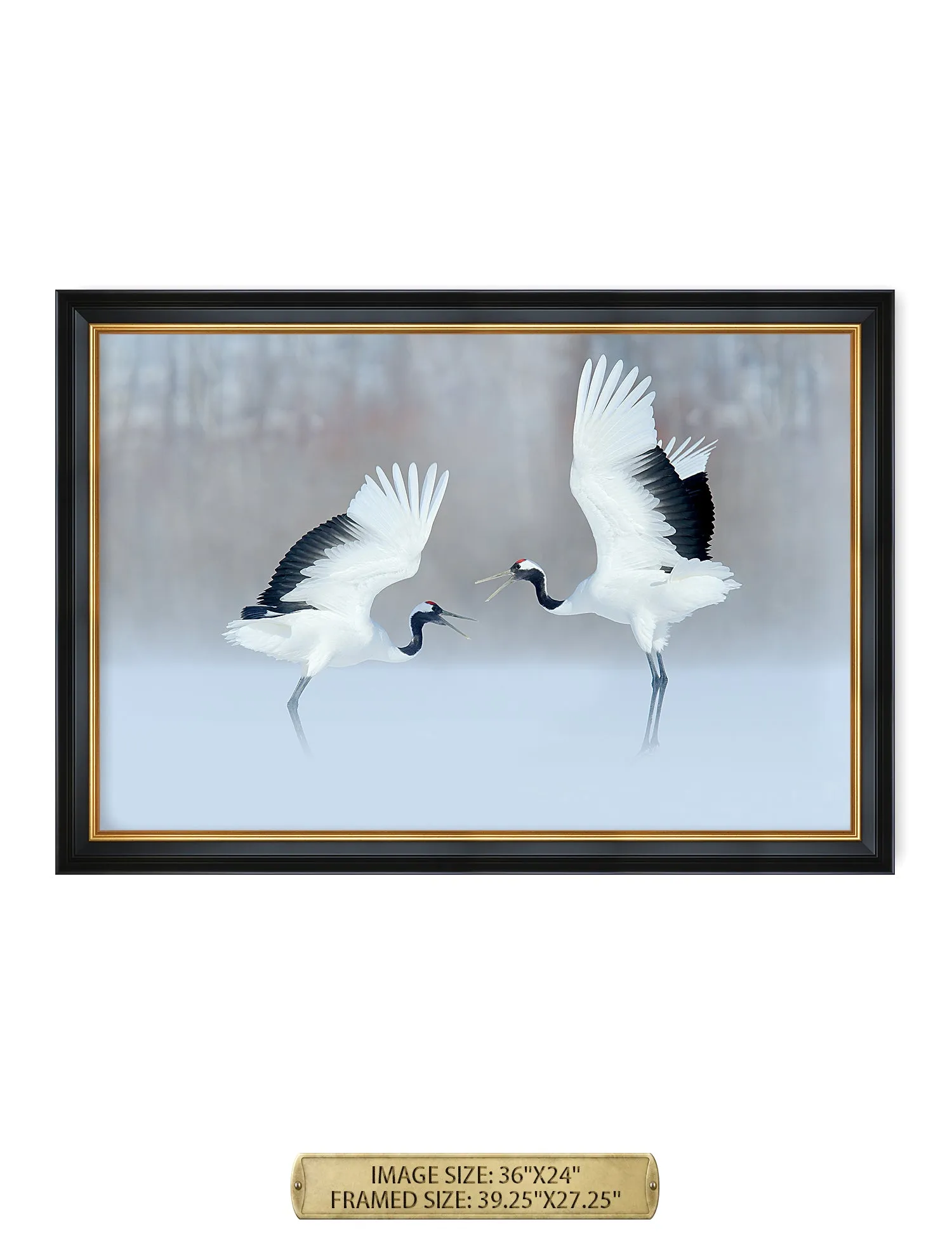 Crane Dance Wild Animal Wall Art.