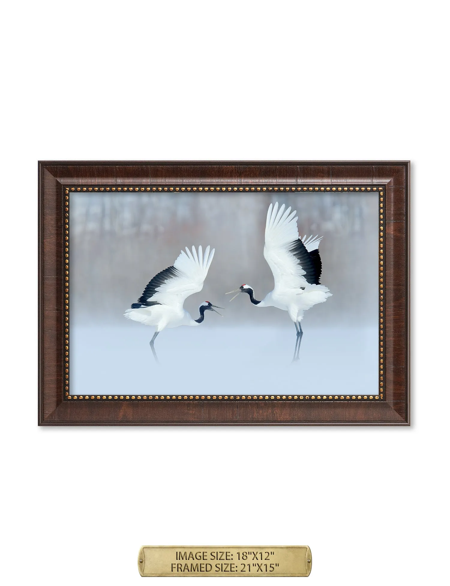 Crane Dance Wild Animal Wall Art.