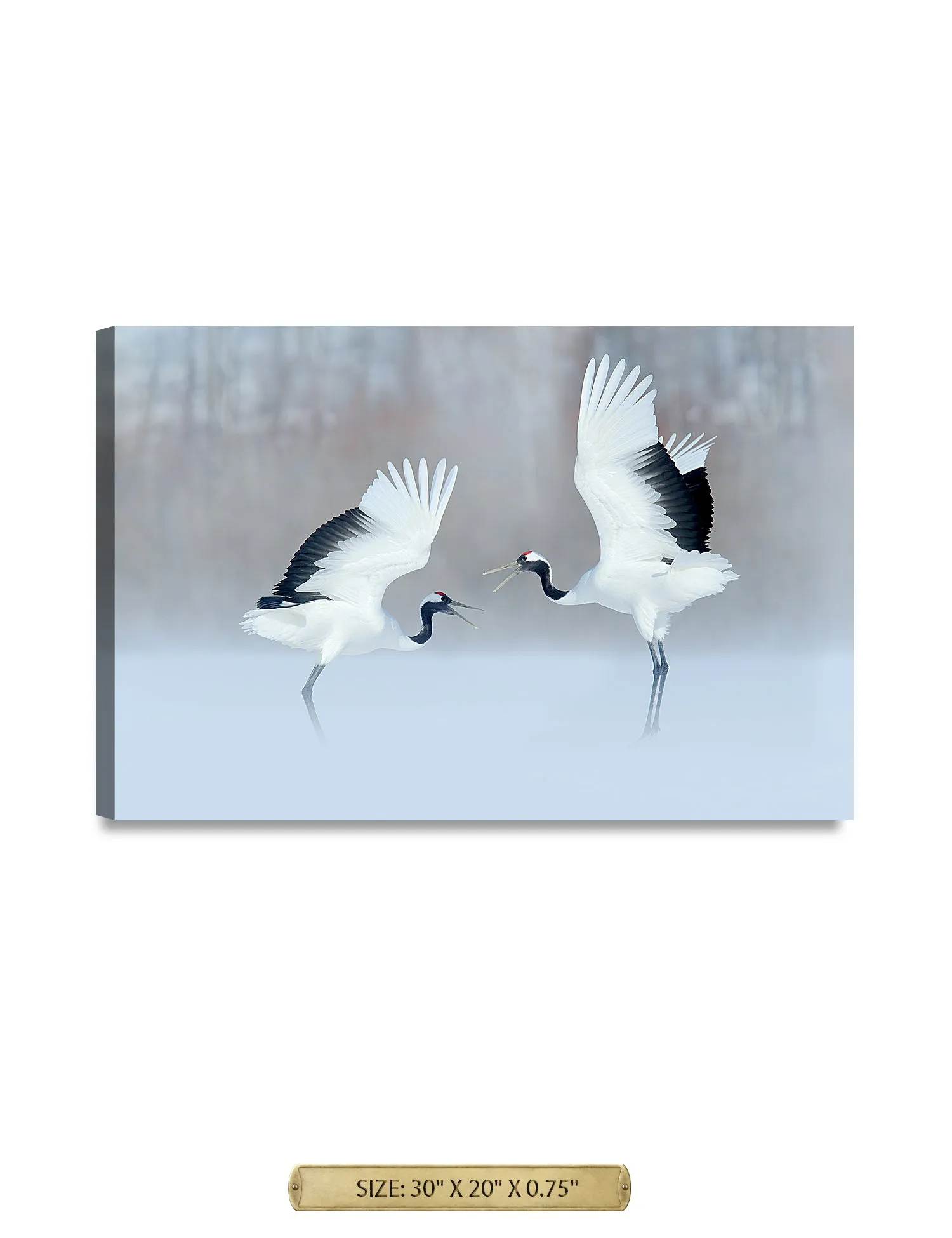 Crane Dance Wild Animal Wall Art.