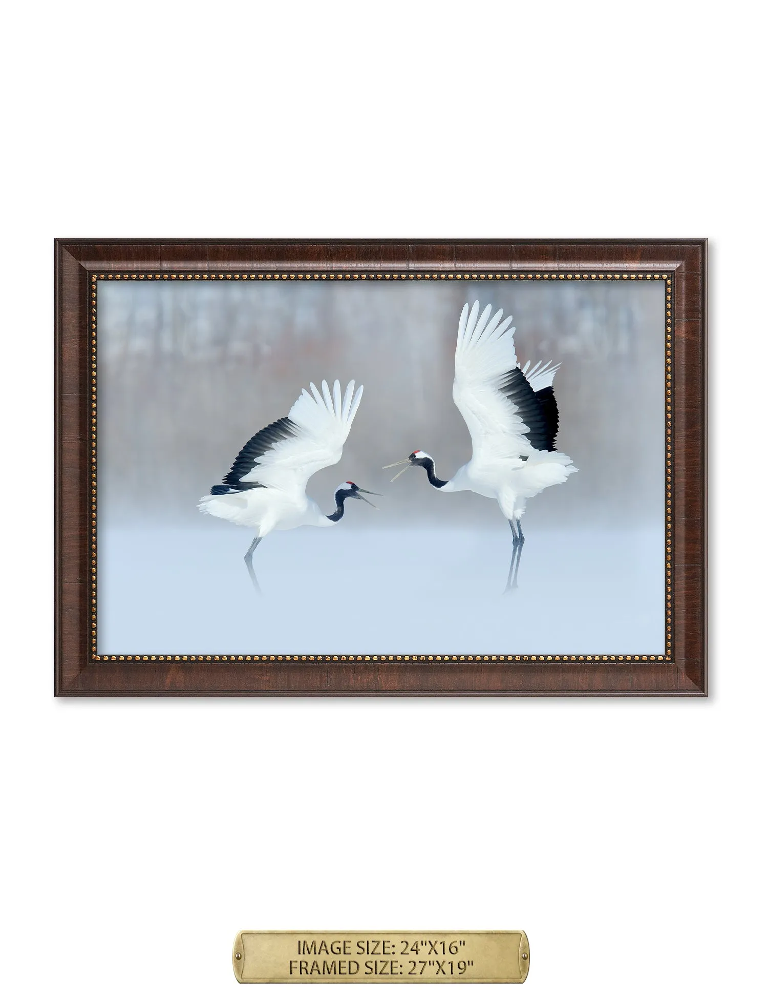 Crane Dance Wild Animal Wall Art.