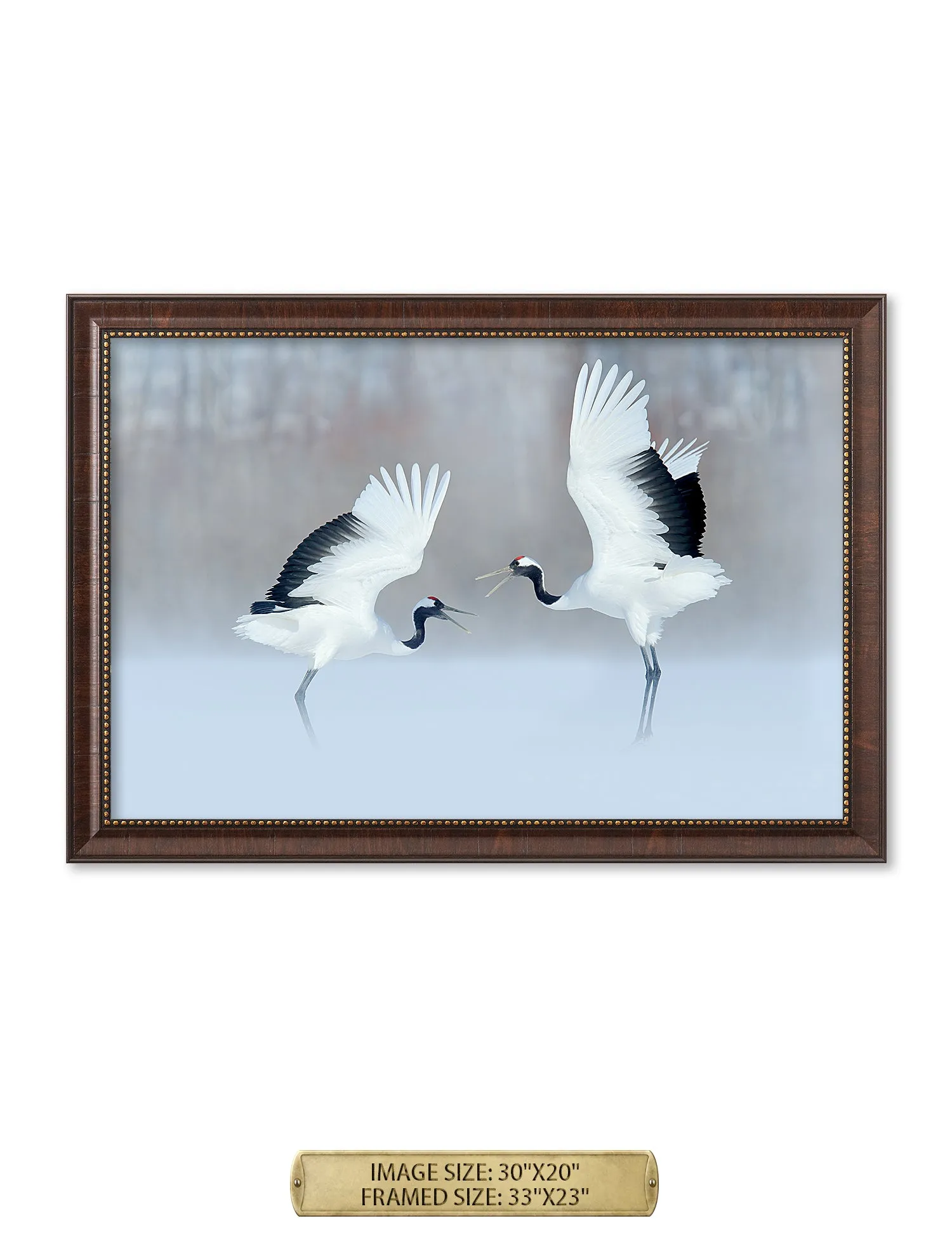 Crane Dance Wild Animal Wall Art.