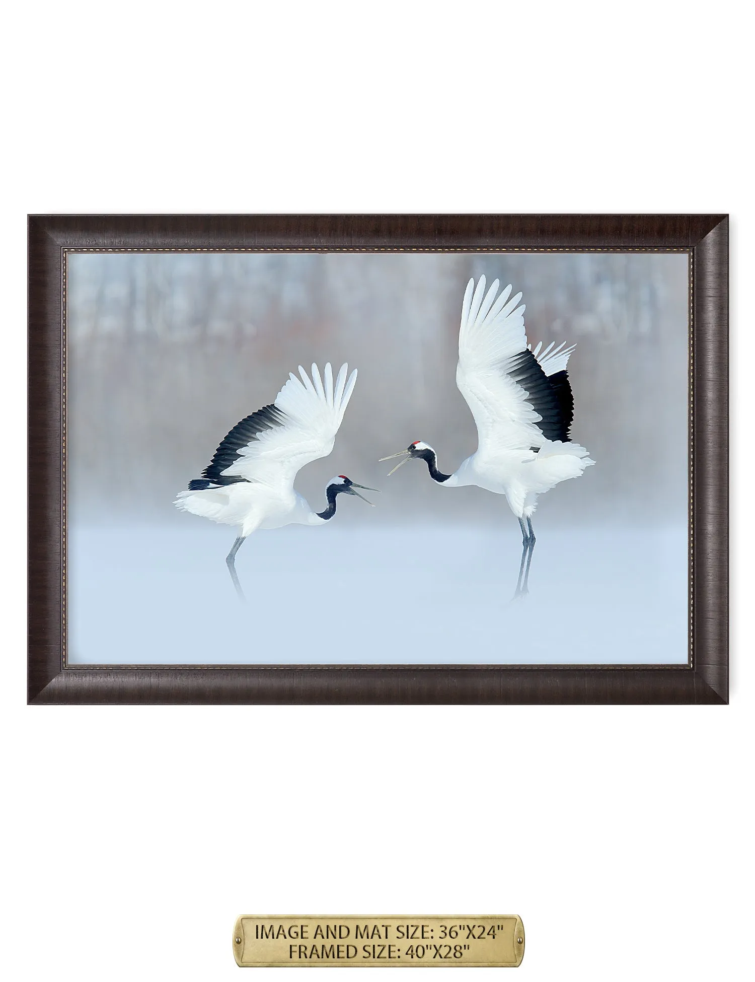 Crane Dance Wild Animal Wall Art.