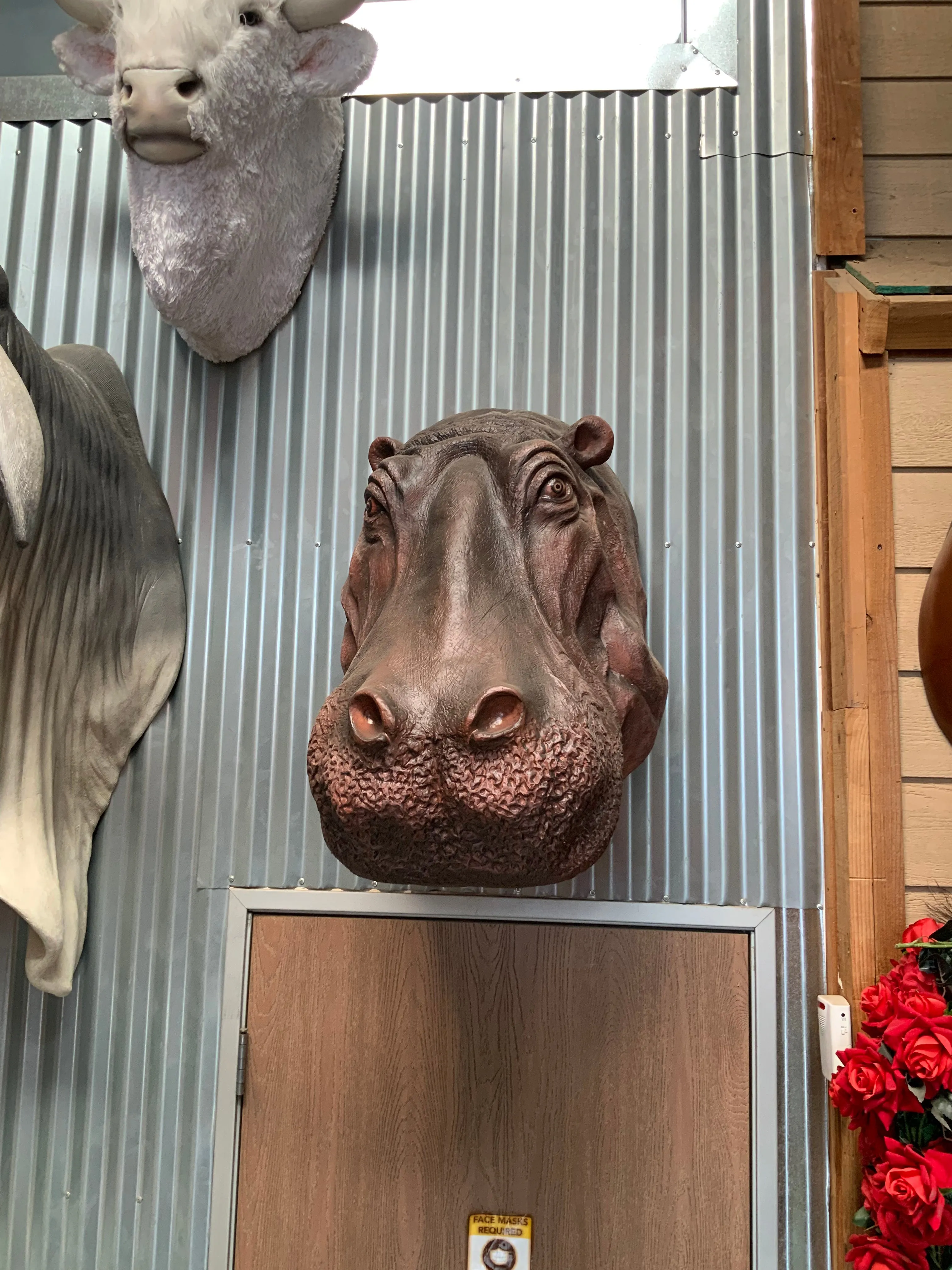 Hippo Head Life Size Statue