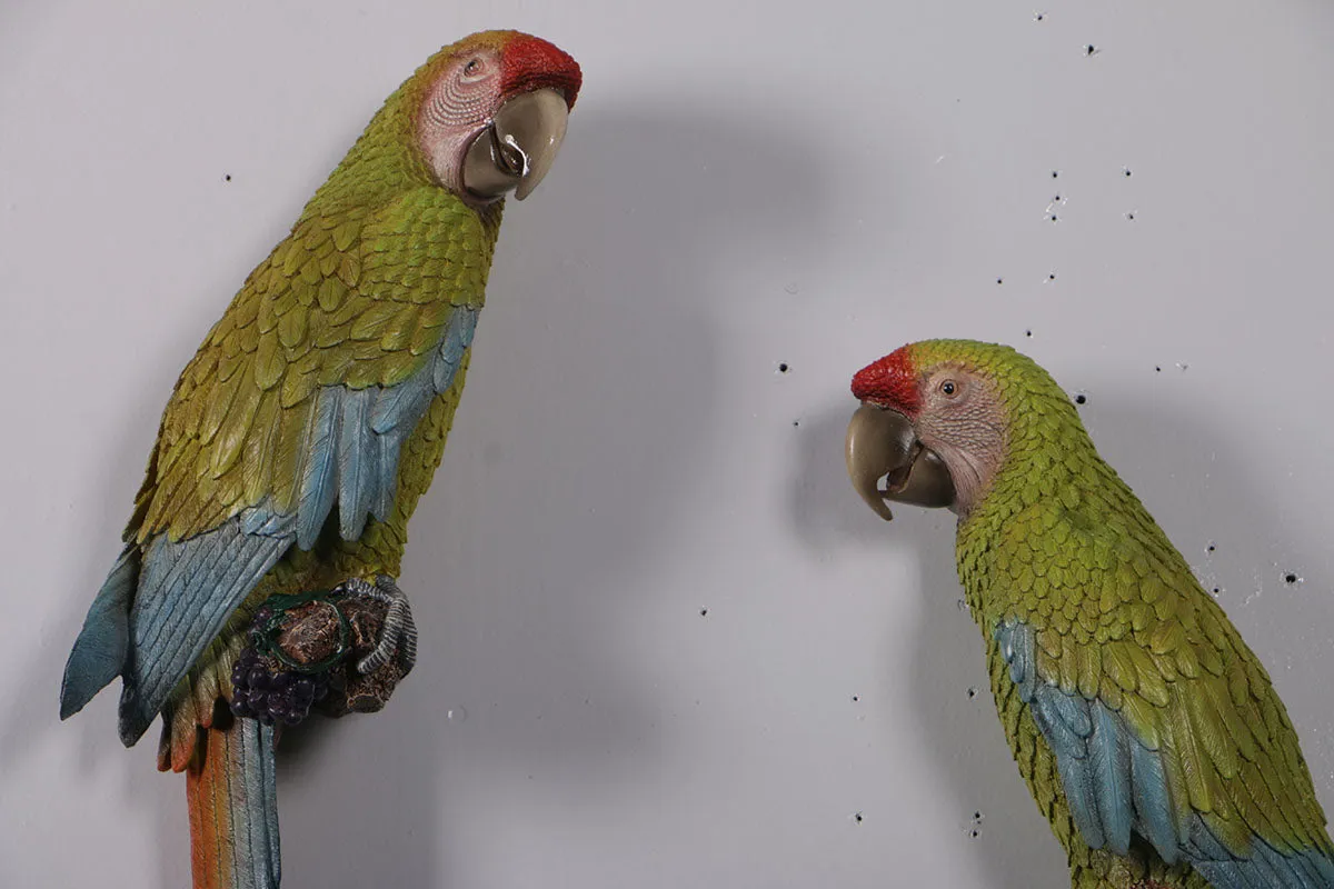 Macaw Buffon Lover Parrots Life Size Statue