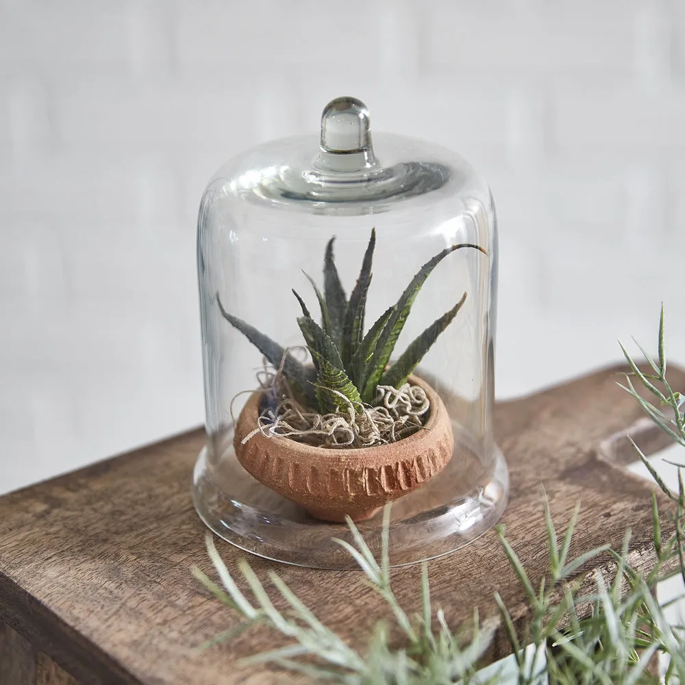 Miniature Glass Bell Cloche - Box of 4