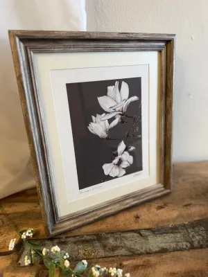 Pure Magnolia Framed Fine Art Print
