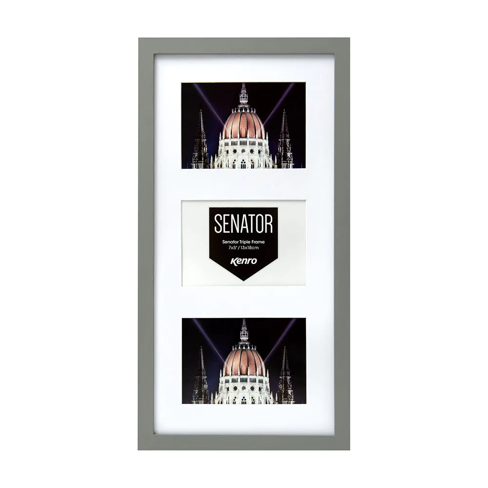 Senator Series (Grey)