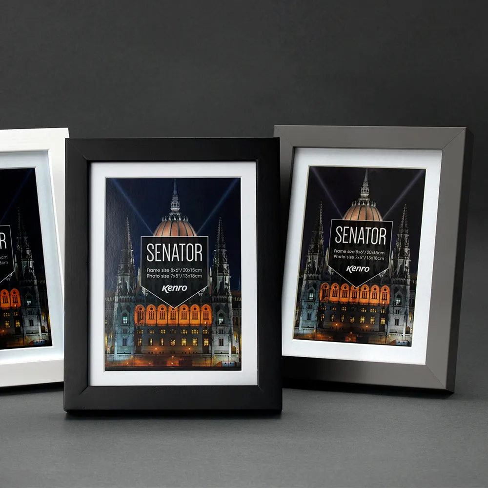 Senator Series (Grey)