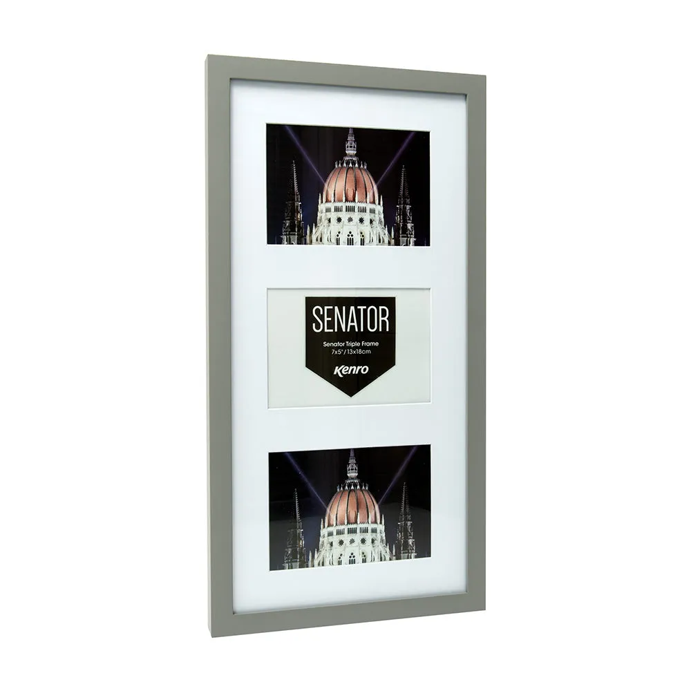 Senator Series (Grey)
